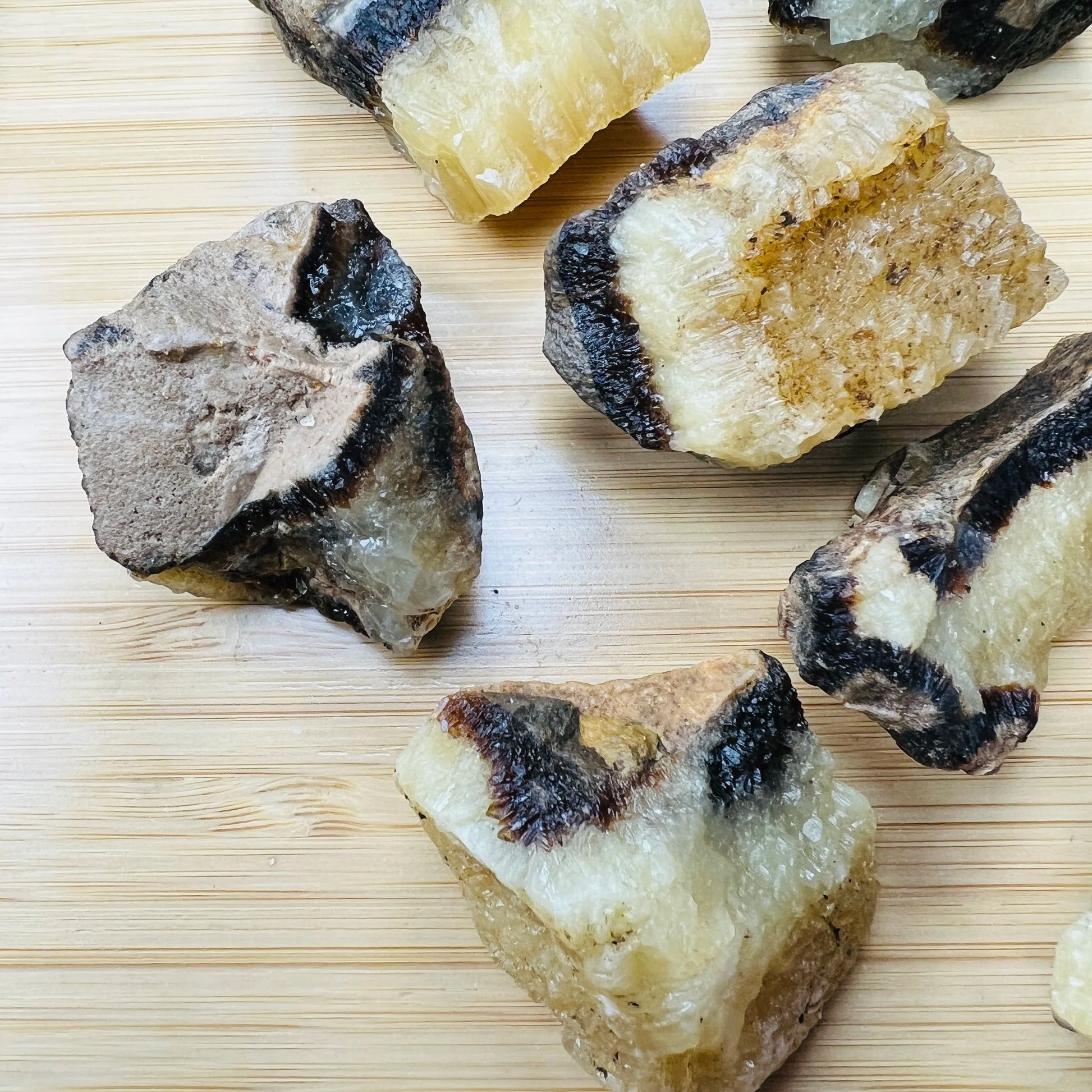 Full profile of Grade AA Septarian raw ready to ship from Beyond Bohemian
