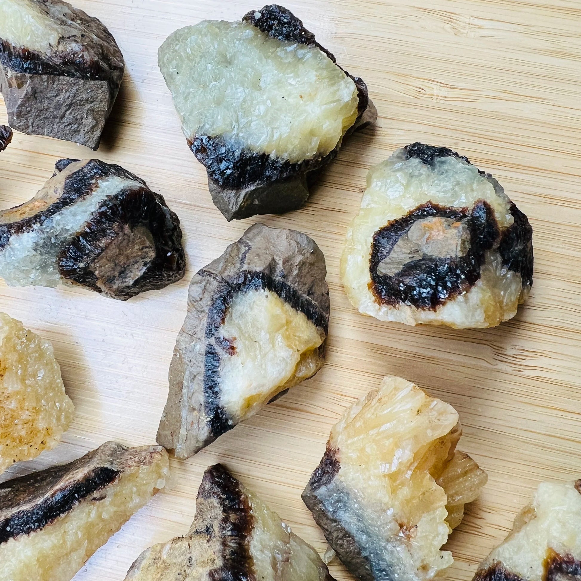 Full profile of Grade AA Septarian raw ready to ship from Beyond Bohemian
