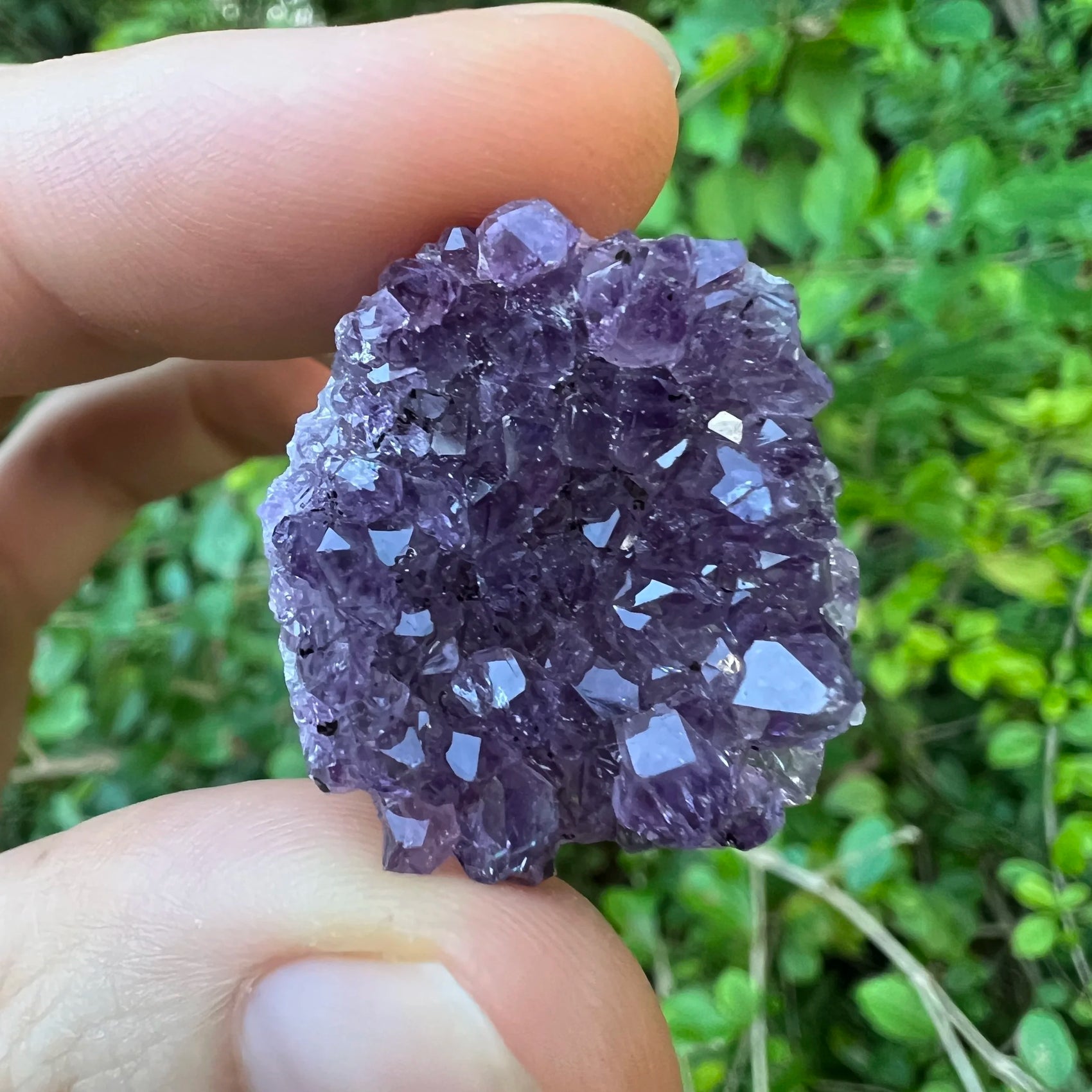 Full profile of Grade A Amethyst raw ready to ship from Beyond Bohemian