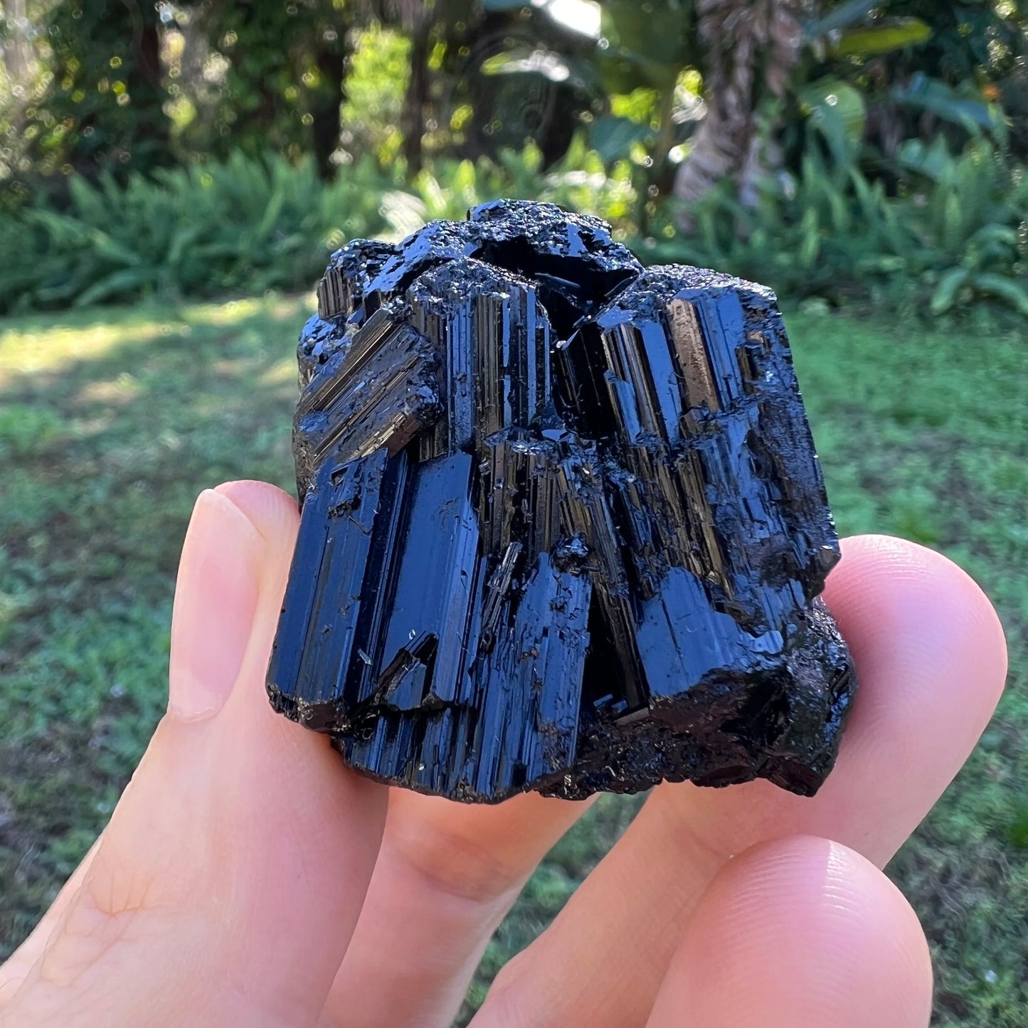 Detail shot of Grade AAA Black Tourmaline raw under natural light
