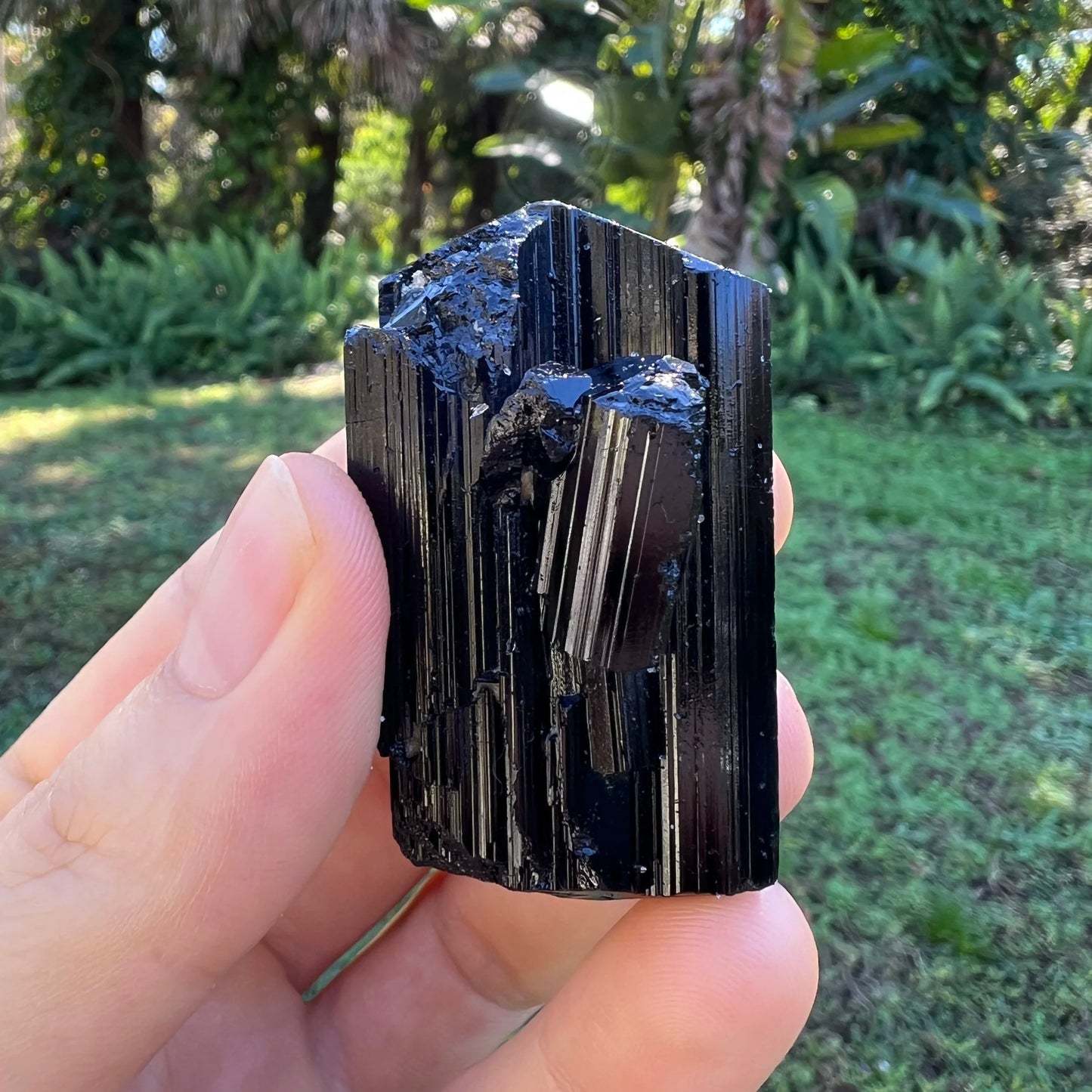 Full profile of Grade AAA Black Tourmaline raw ready to ship from Beyond Bohemian