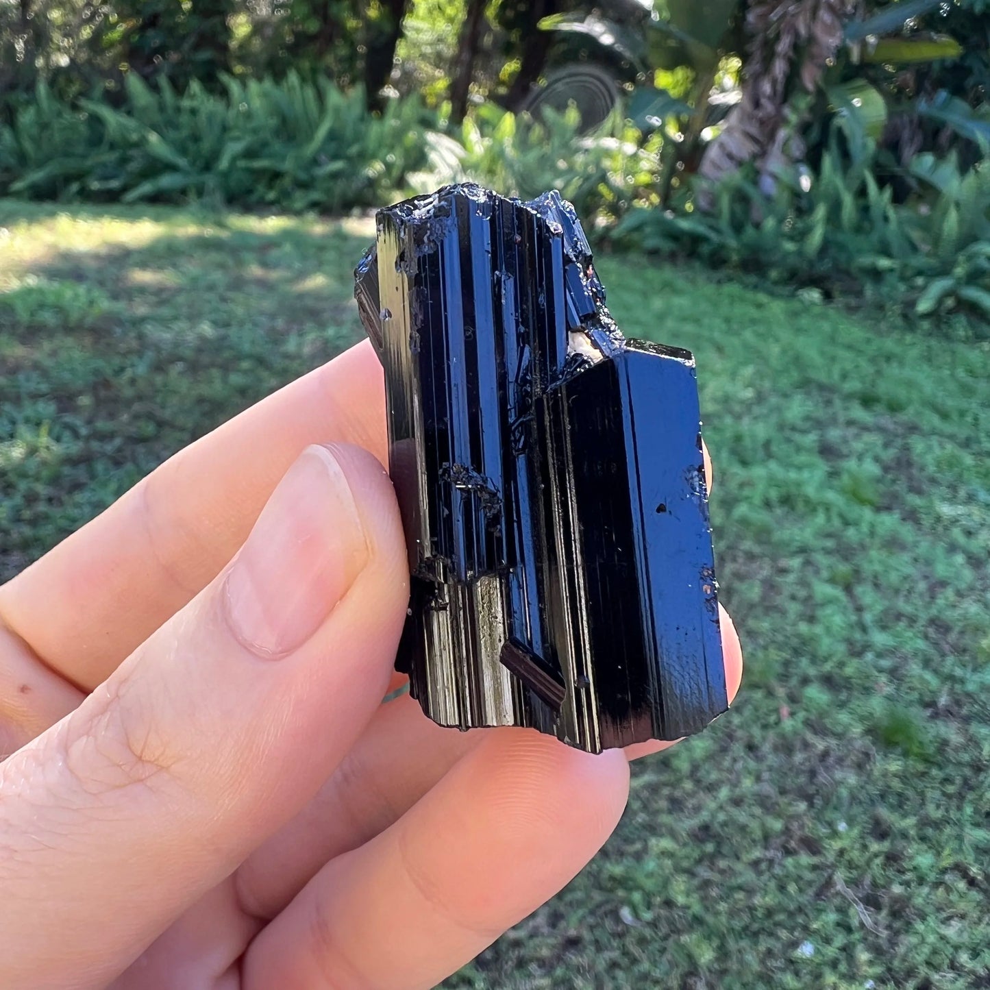 Full profile of Grade AAA Black Tourmaline raw ready to ship from Beyond Bohemian