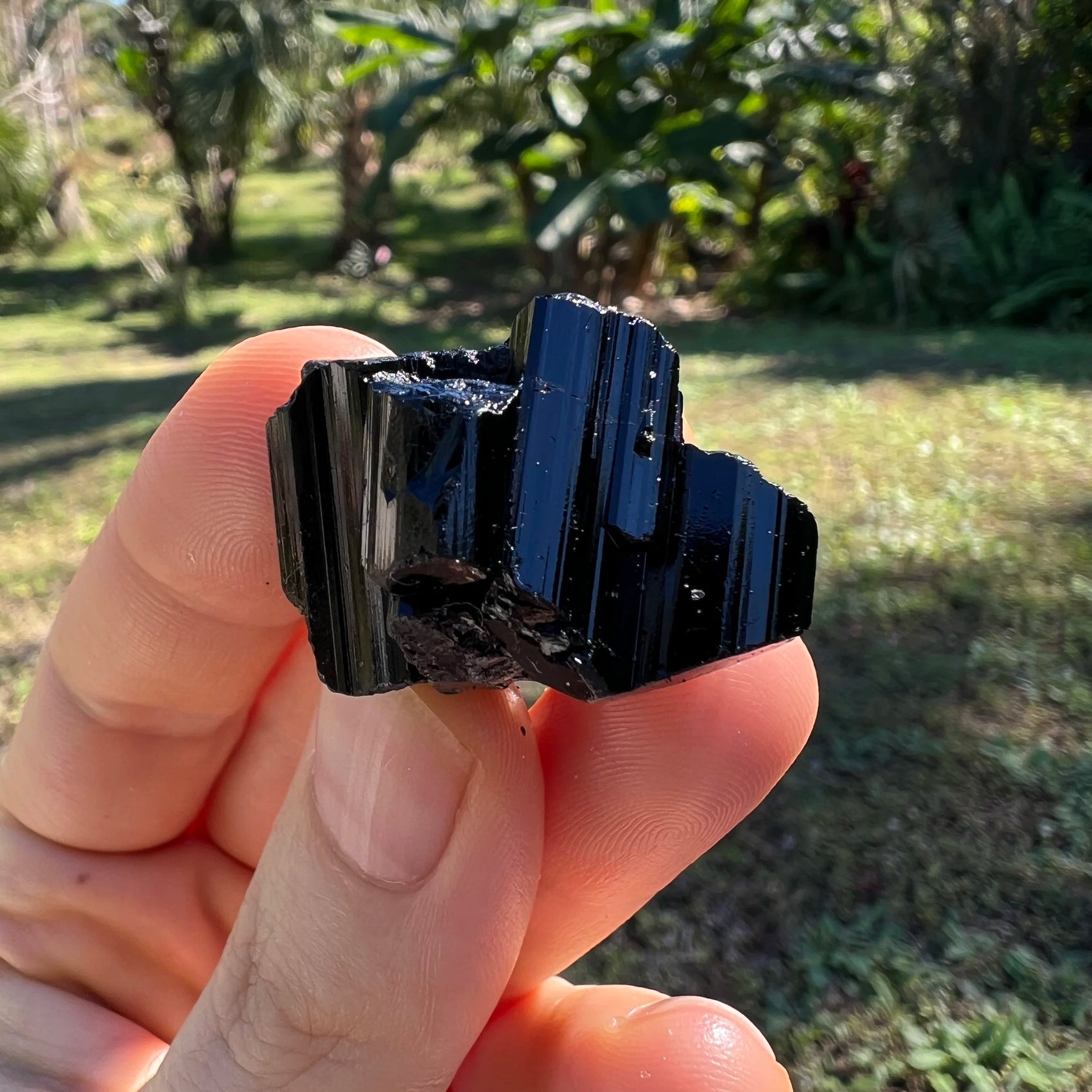 Black Tourmaline raw crystal from Madagascar with Black color, polished finish for mindful calm
