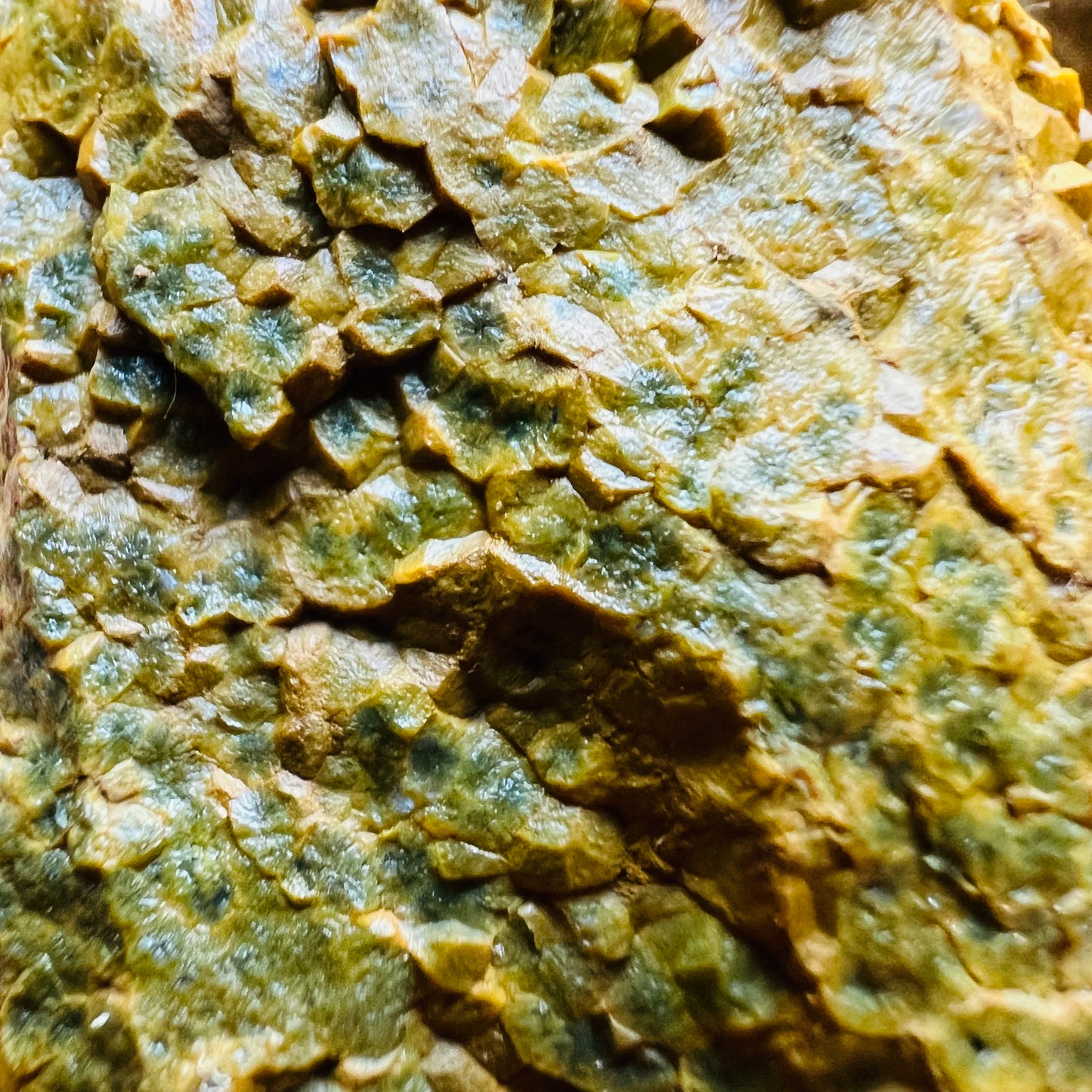 Close-up of Ocean Jasper raw stone from Madagascar, soothing wellness stone for Emotional Healing