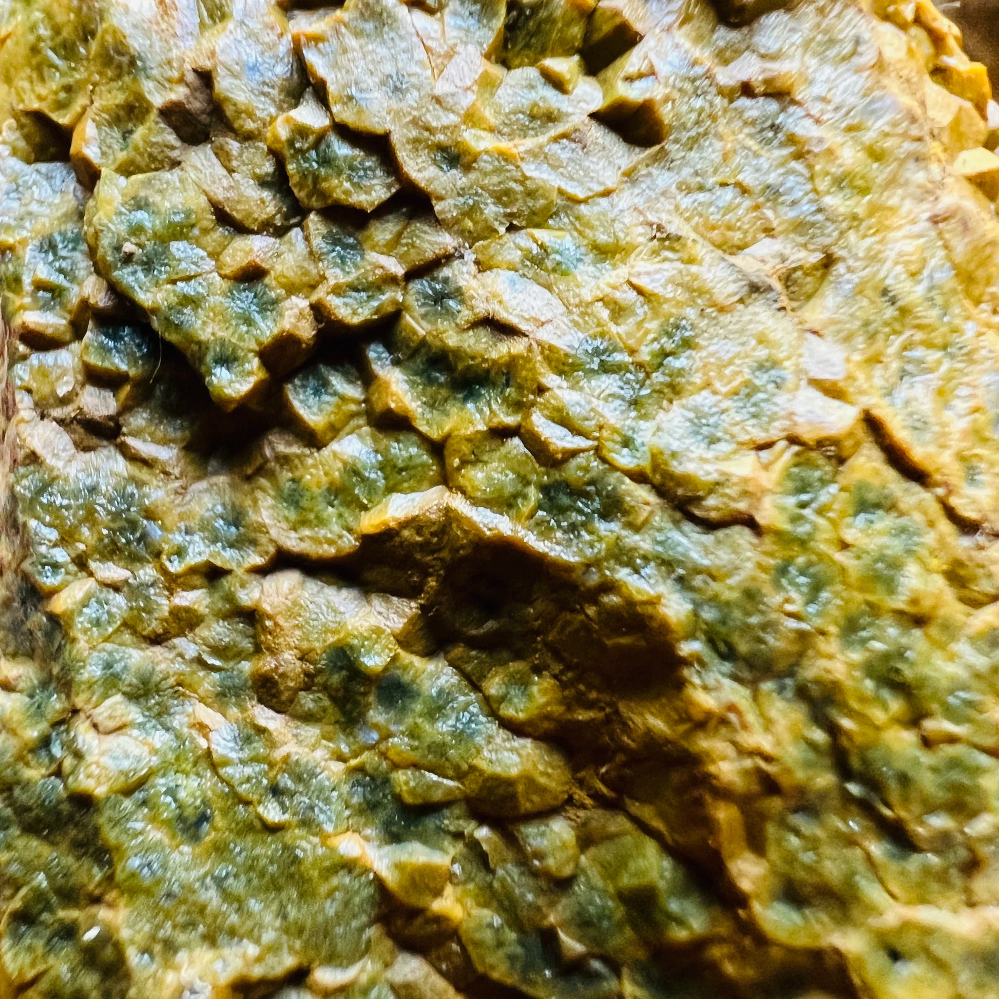 Close-up of Ocean Jasper raw stone from Madagascar, soothing wellness stone for Emotional Healing