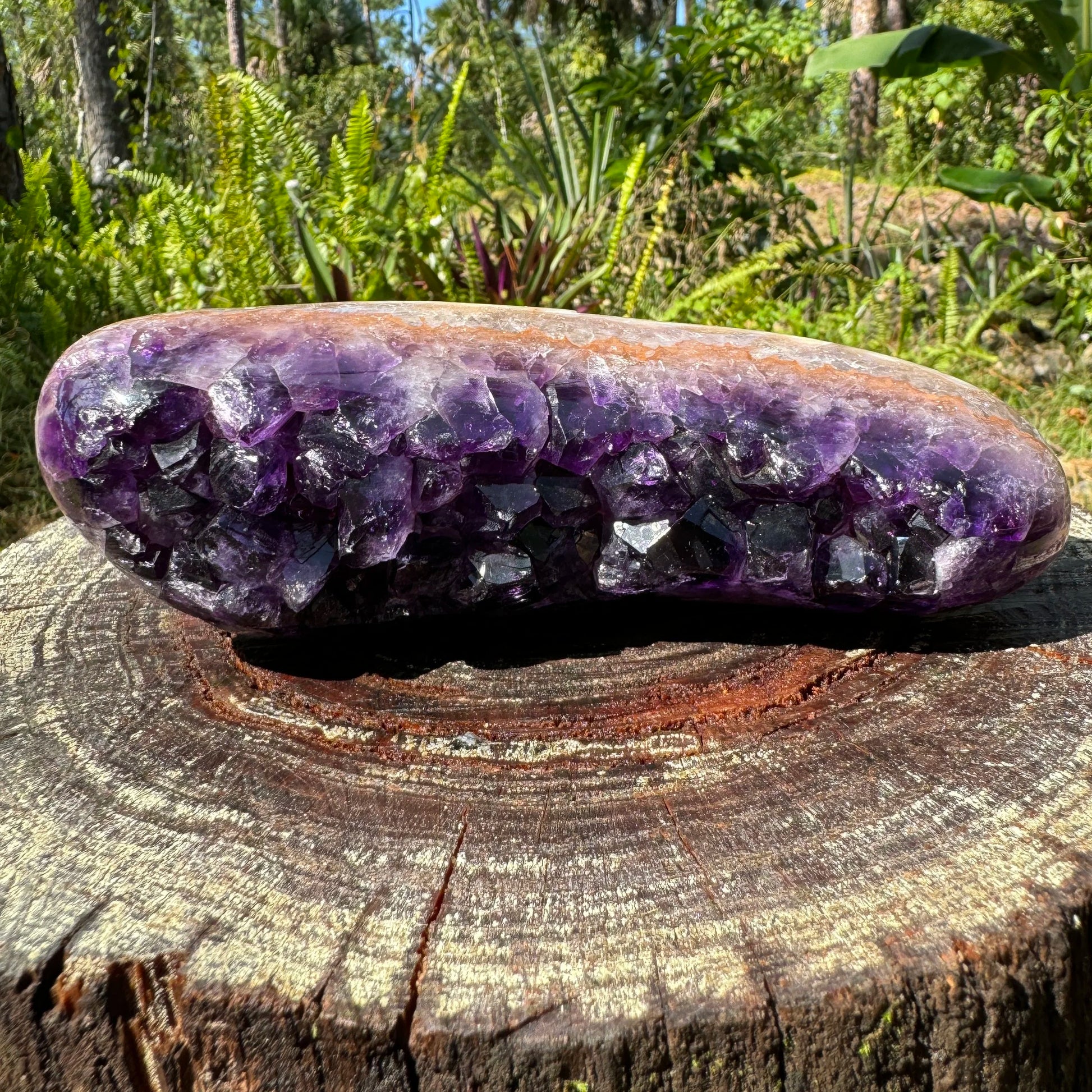 Daylight view of a single Amethyst raw geode from Artigas, Uruguay.