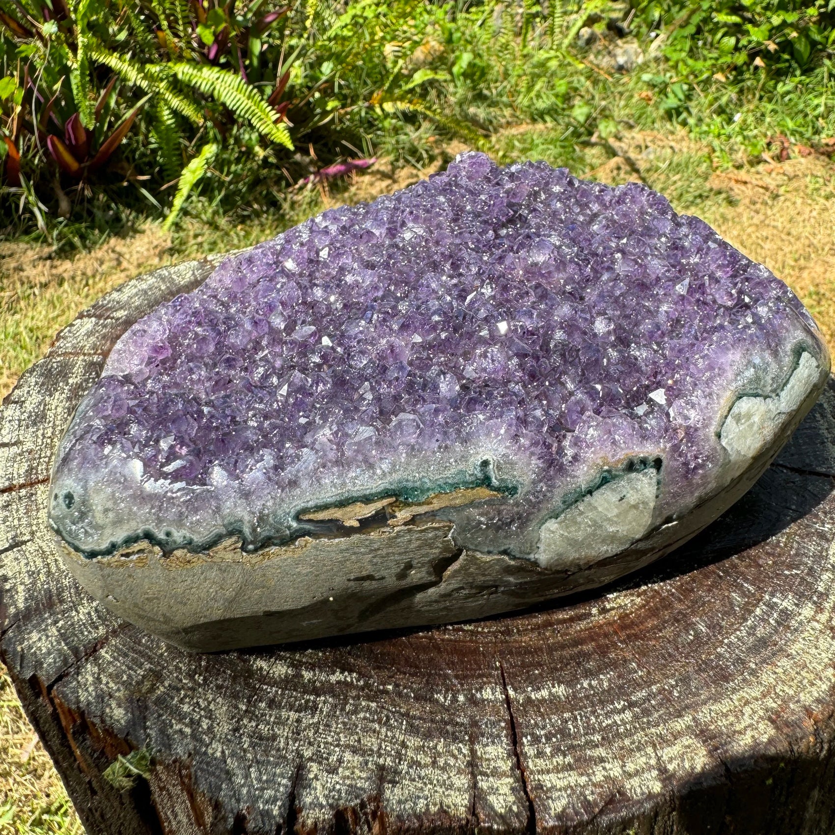 Profile view of Amethyst raw geode, showing characteristic patterning.