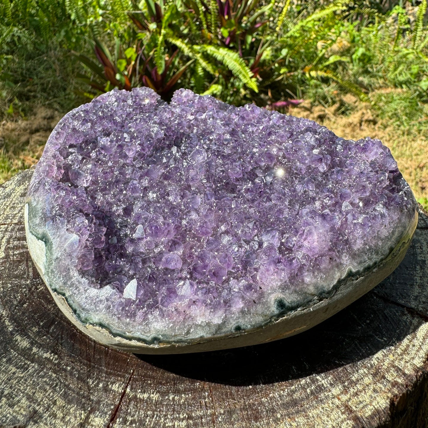 Plan view of Amethyst raw geode, showing tight grain, from Artigas, Uruguay.