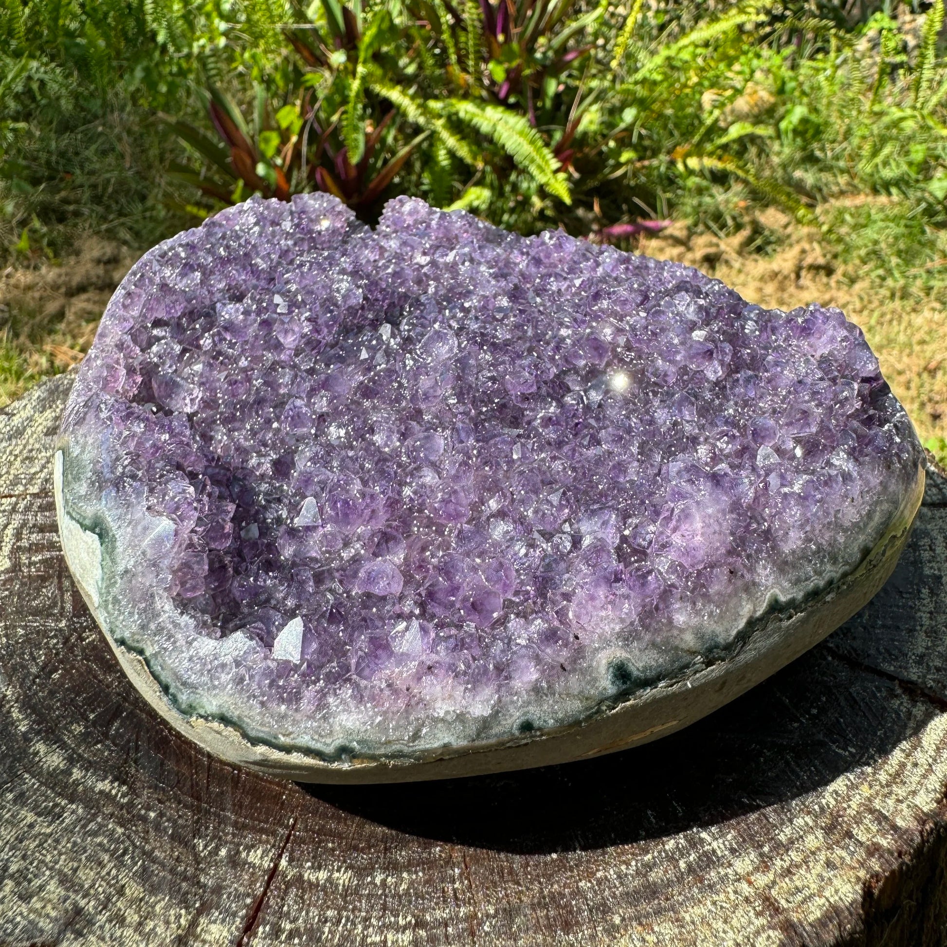Plan view of Amethyst raw geode, showing tight grain, from Artigas, Uruguay.