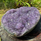 Opposite side of Grade AA Amethyst raw geode, associated with Stress Relief and Sleep, showing natural color depth.