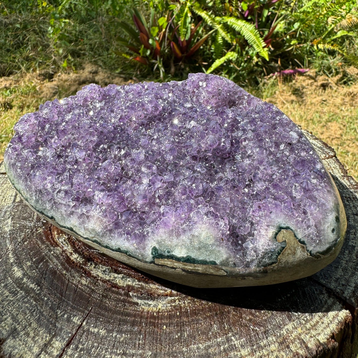 Palm-scale view of one Amethyst raw geode for scale, from Artigas, Uruguay.