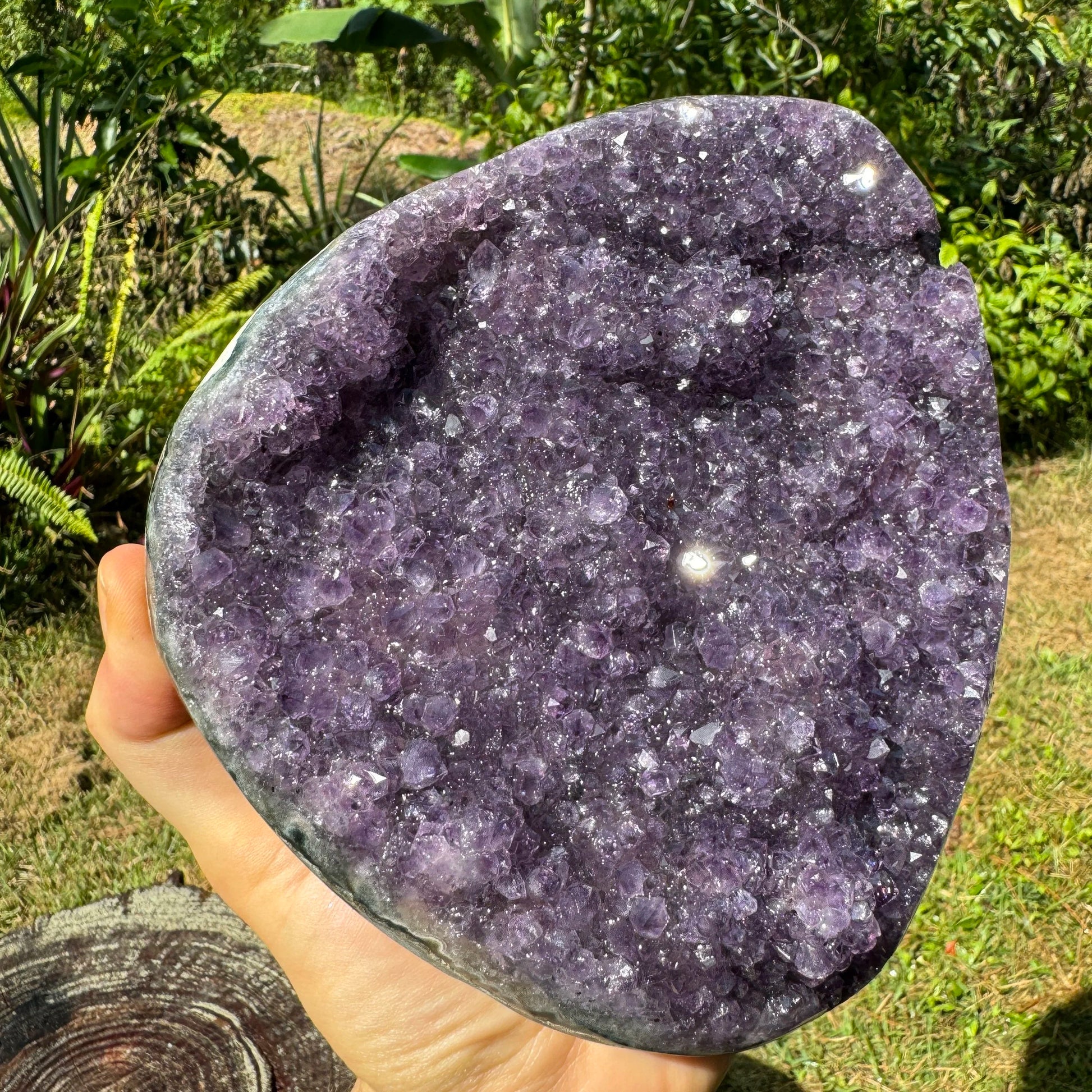 Back view of Grade AA Amethyst geode showing natural surface