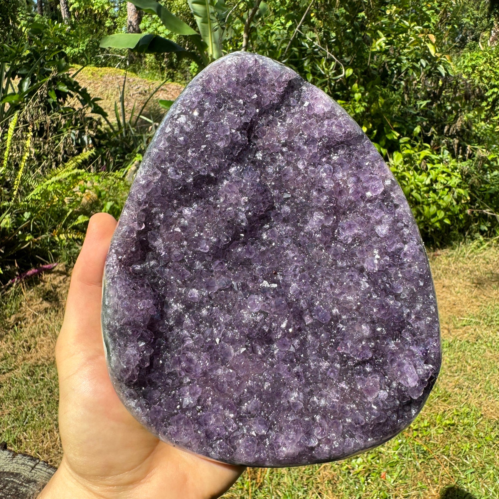 Detail shot of Grade AA Amethyst geode under natural light
