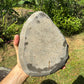 Full profile of Grade AA Amethyst geode ready to ship from Beyond Bohemian