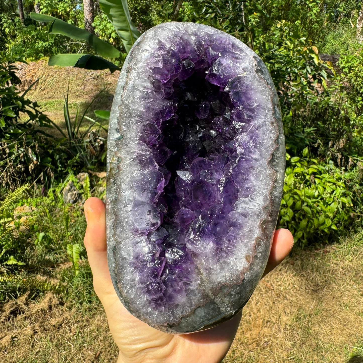 Grade aaa amethyst geode held in hand for size reference