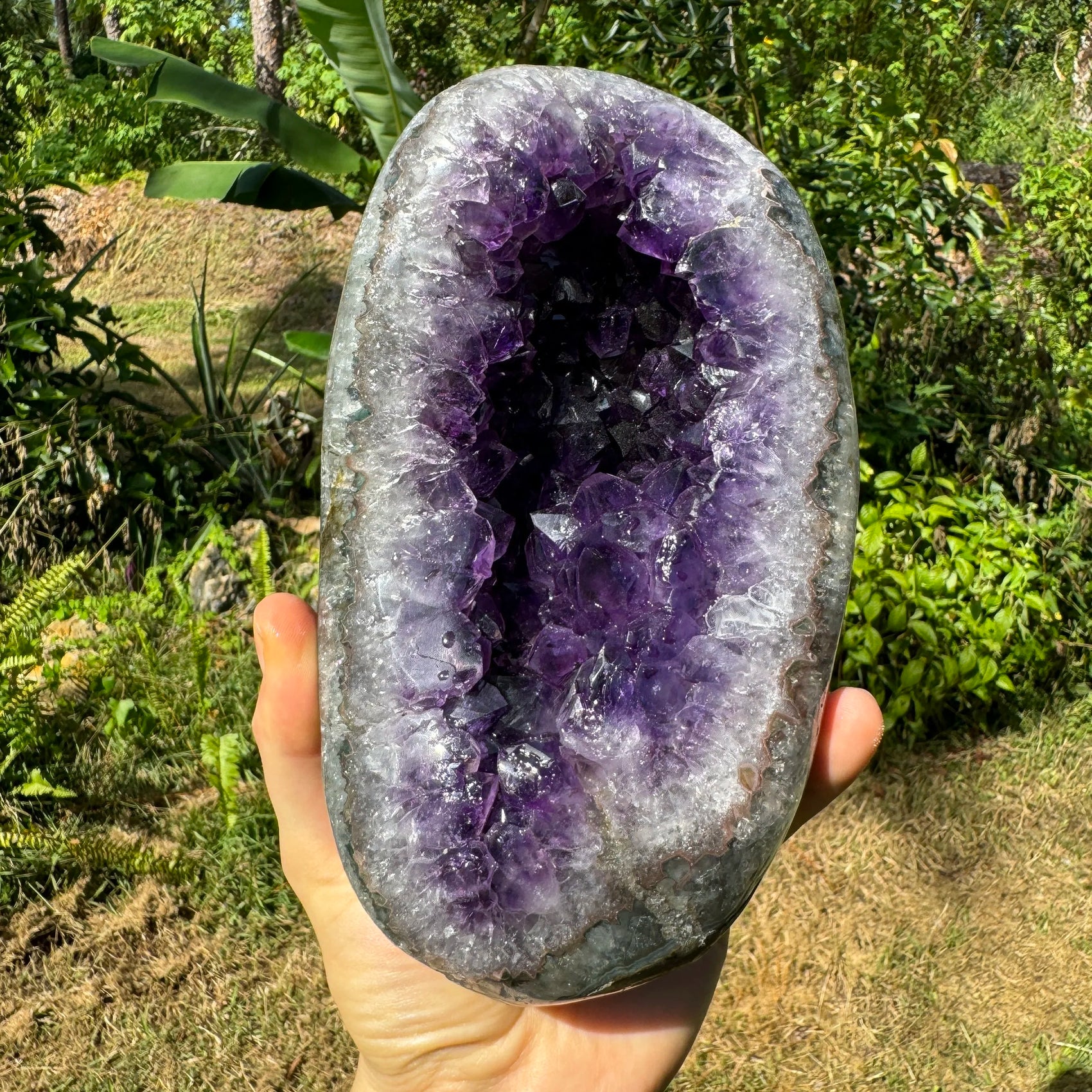 Grade aaa amethyst geode held in hand for size reference