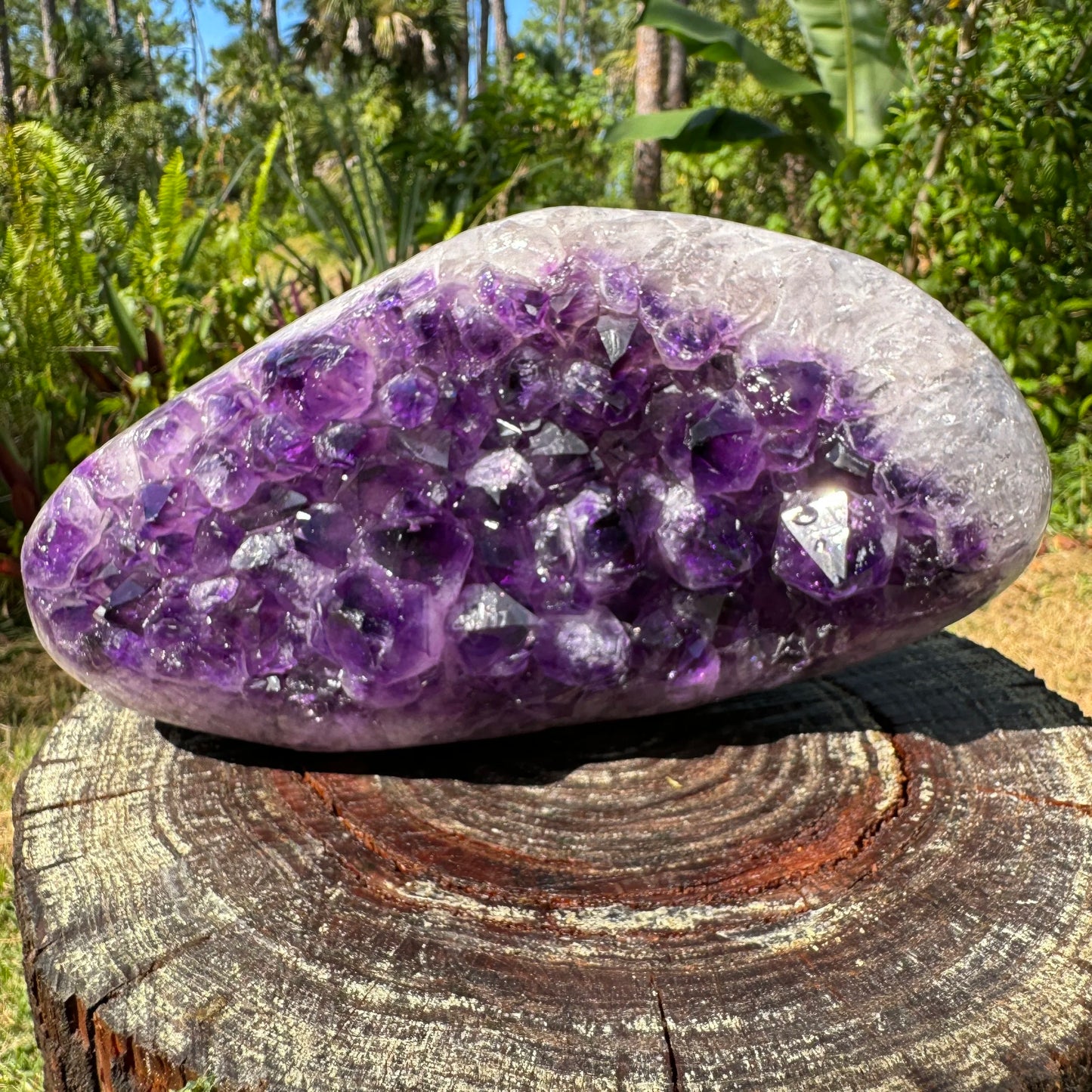 Close detail of purple Amethyst raw geode, sourced from Artigas, Uruguay, showing raw matrix.