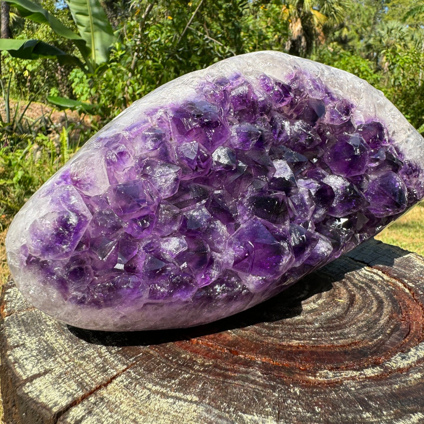 Side profile of Amethyst raw geode, from Uruguay, often kept for Stress Relief.