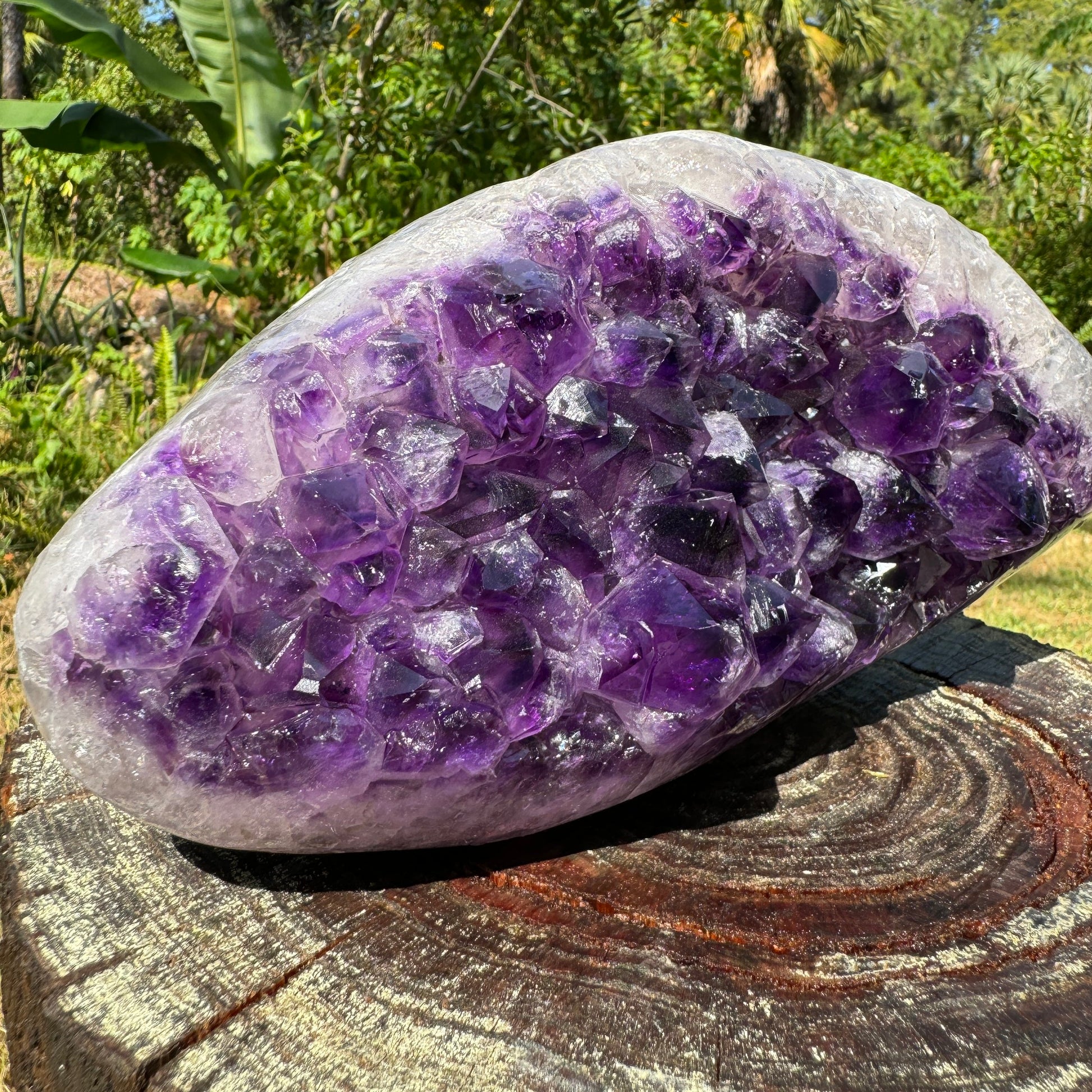 Side profile of Amethyst raw geode, from Uruguay, often kept for Stress Relief.