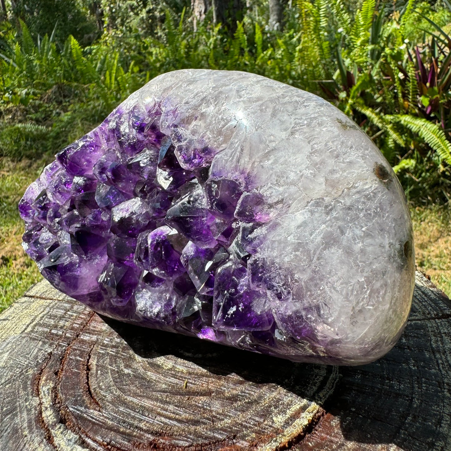 Top-down shot of Amethyst raw geode, showing subtle veining.