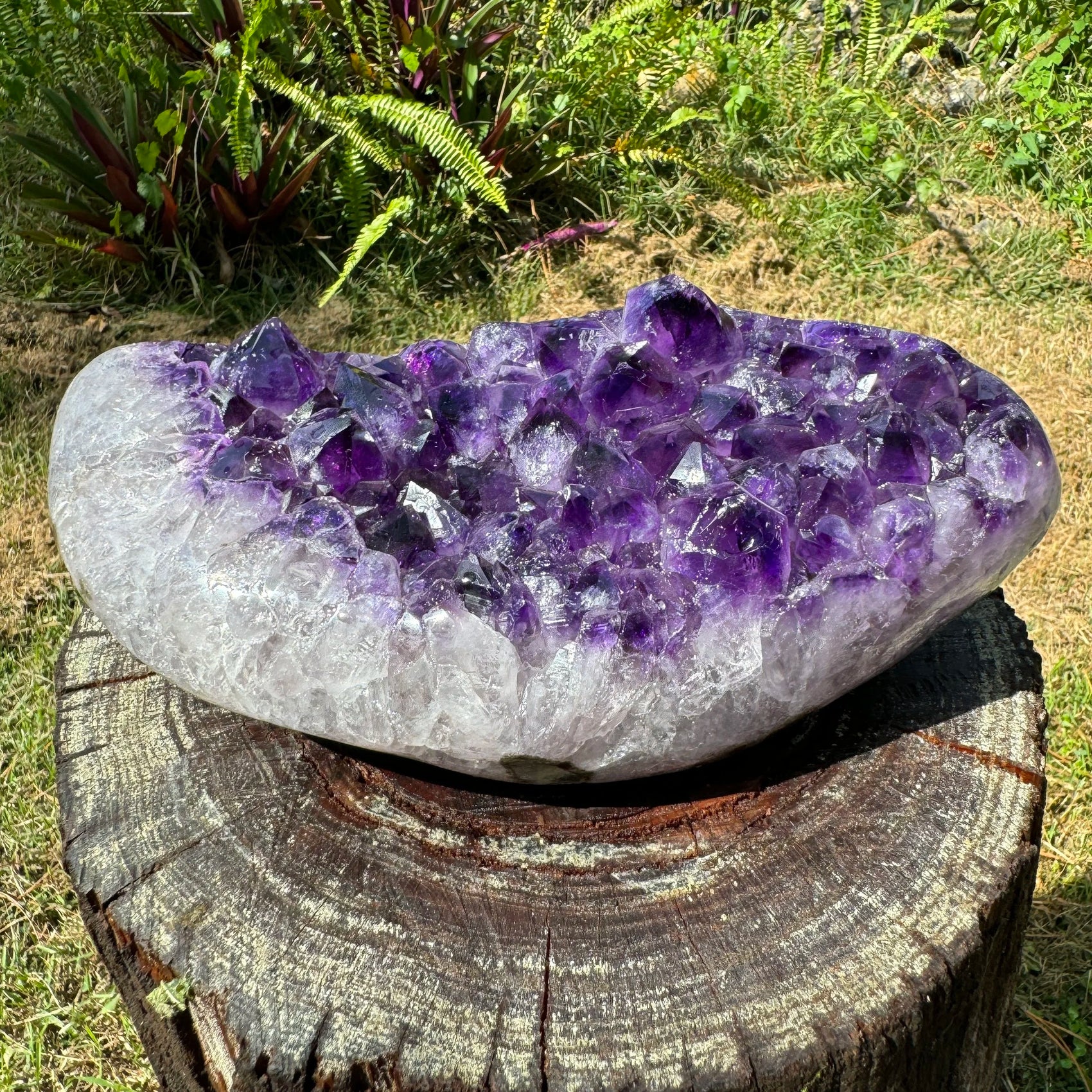 Scale reference of a single Amethyst raw geode Uruguay-sourced, from Uruguay.