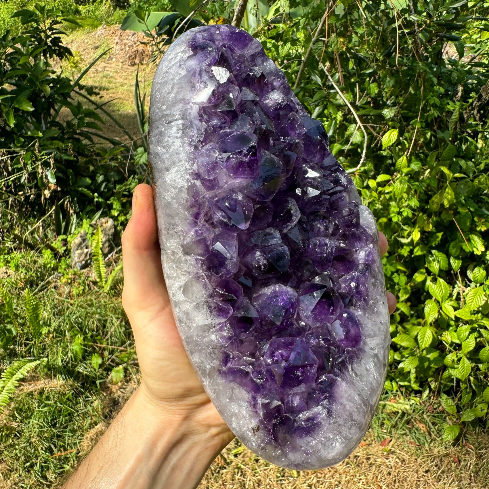 Detail shot of Grade AAA Amethyst geode under natural light