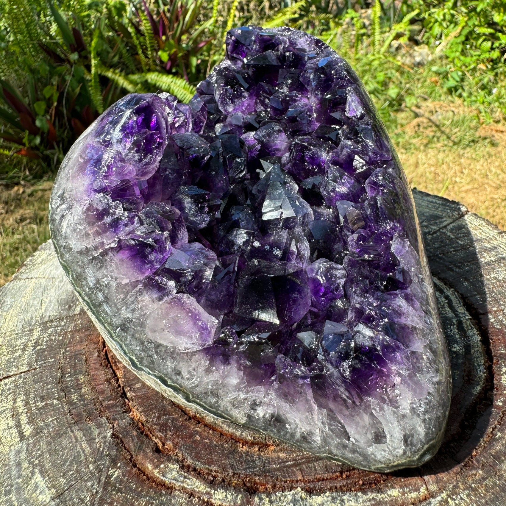 Overhead view of Amethyst raw geode, Uruguay-sourced.