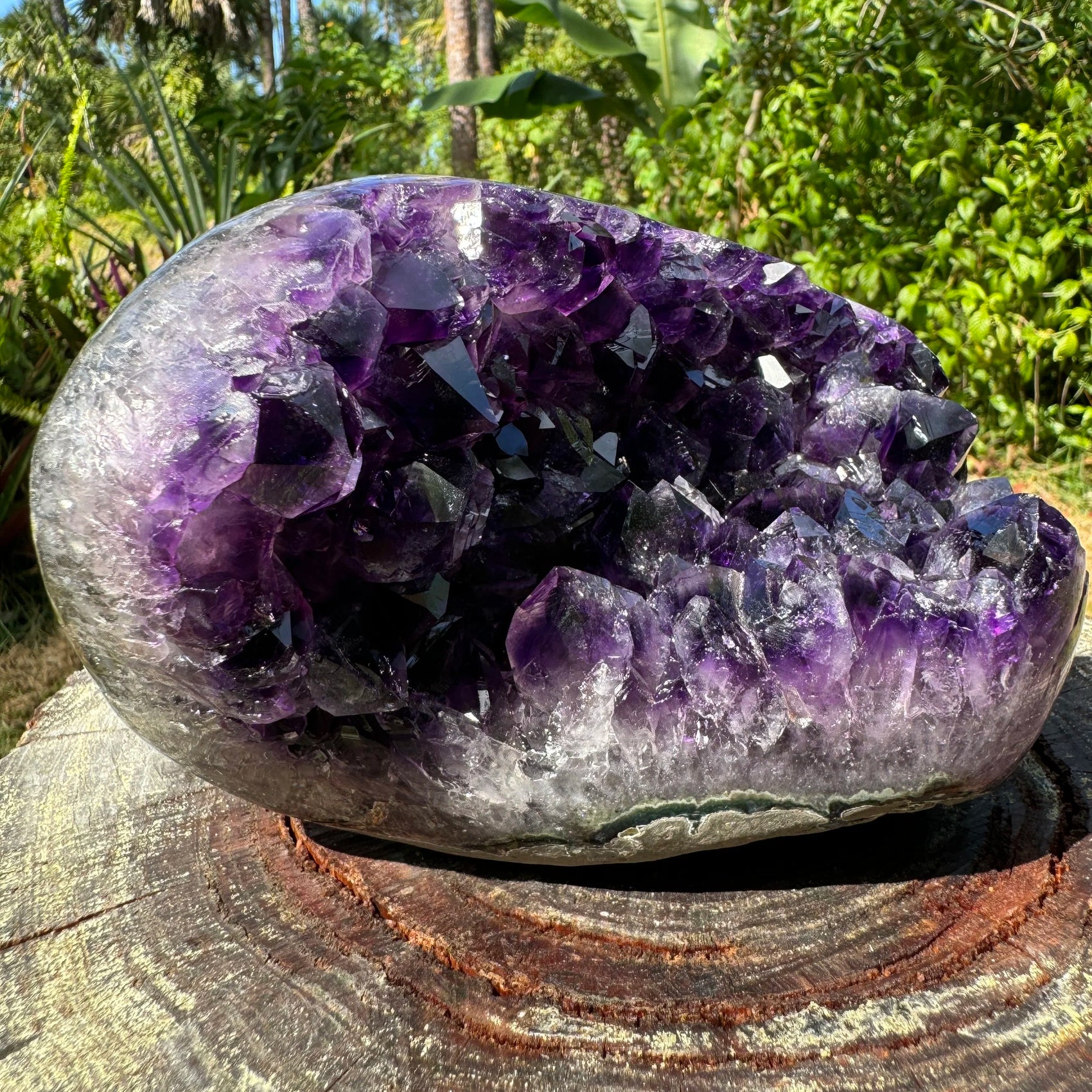 Scale reference of a Amethyst raw geode held against natural backdrop.