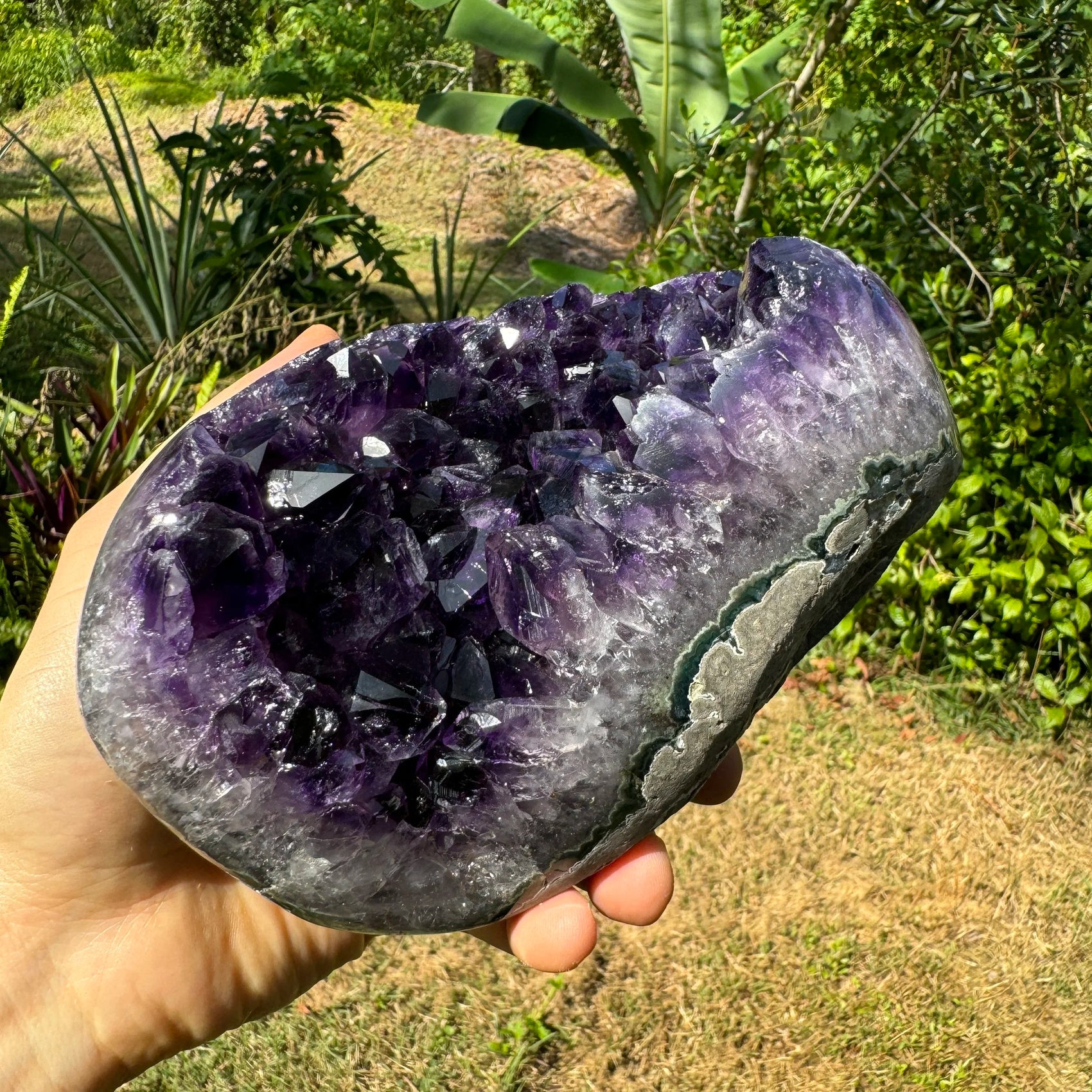 Back view of Grade AAA Amethyst geode showing natural surface