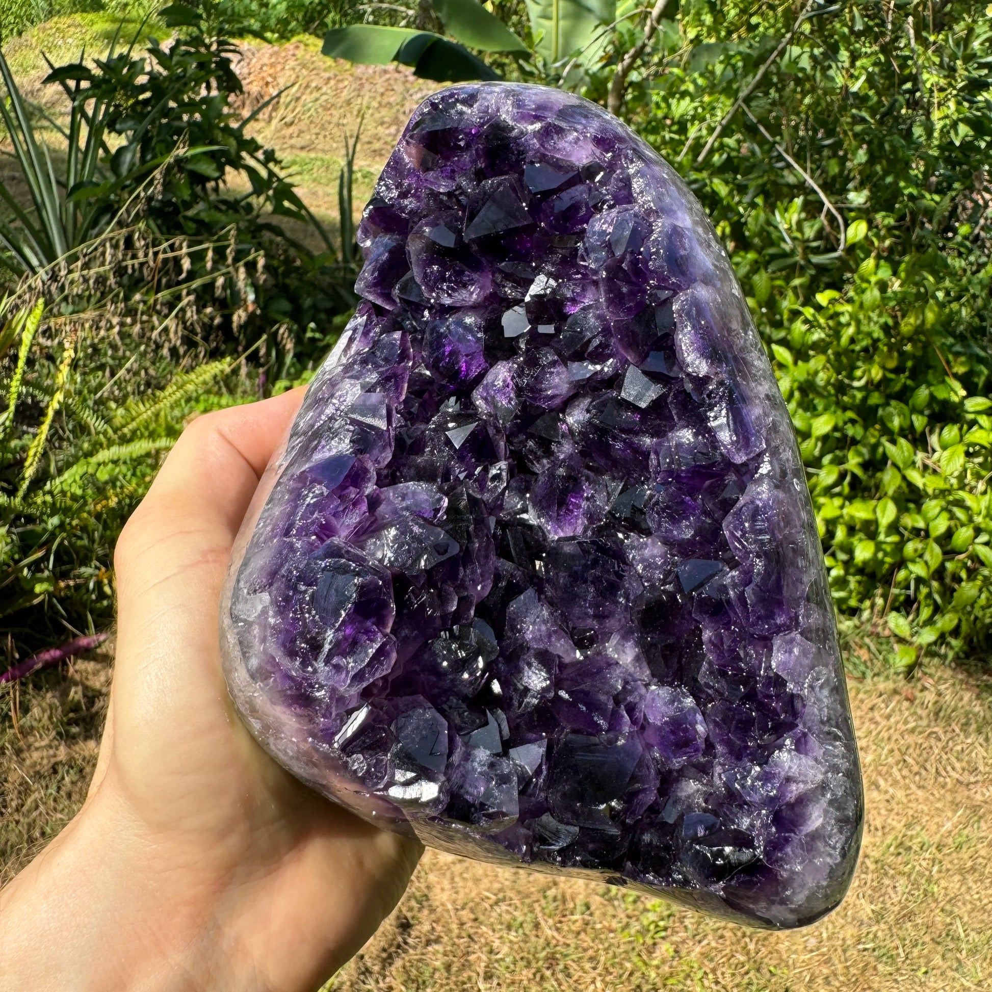 Detail shot of Grade AAA Amethyst geode under natural light