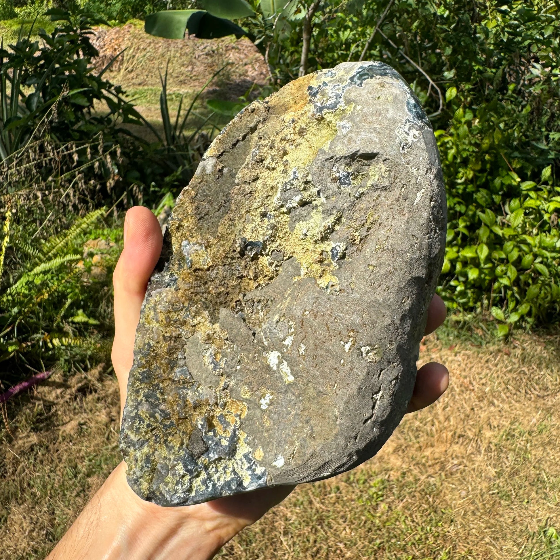 Full profile of Grade AAA Amethyst geode ready to ship from Beyond Bohemian
