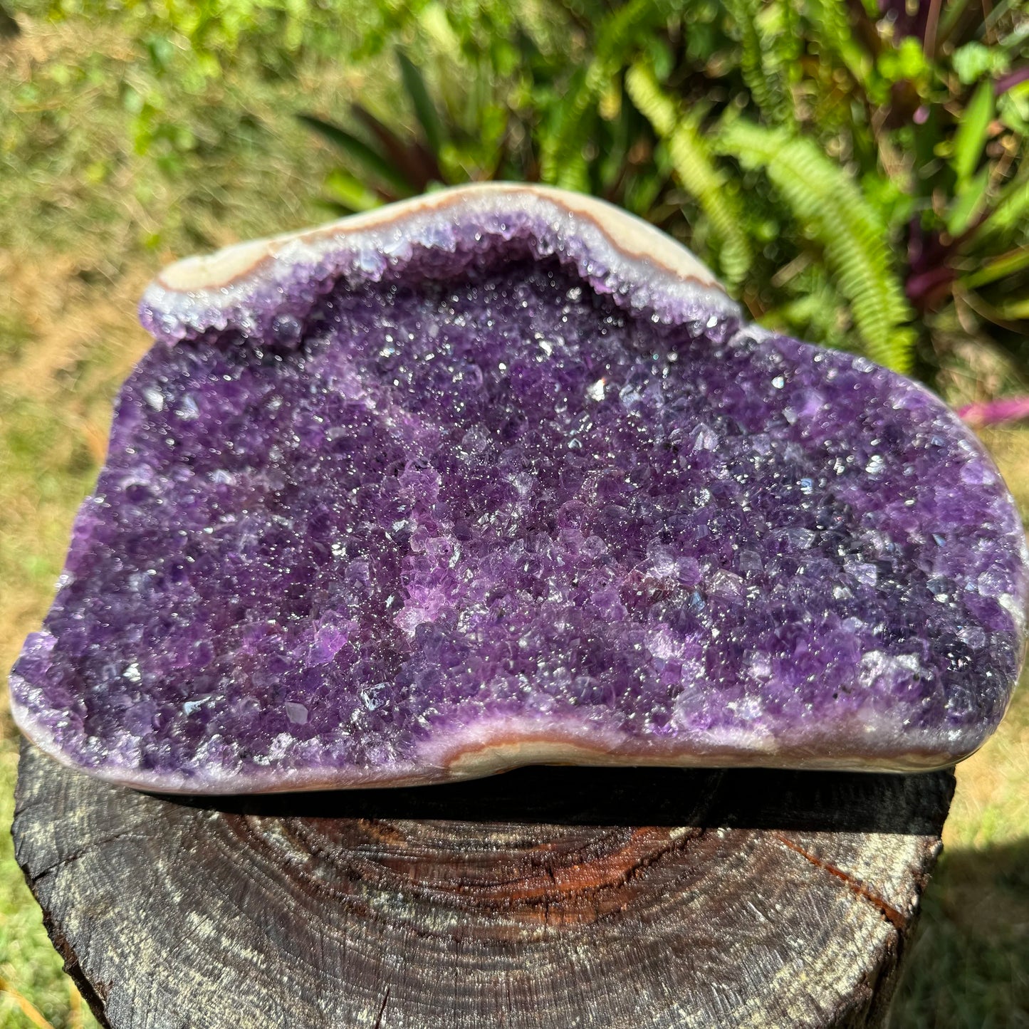 Full profile of Grade AA Amethyst geode ready to ship from Beyond Bohemian
