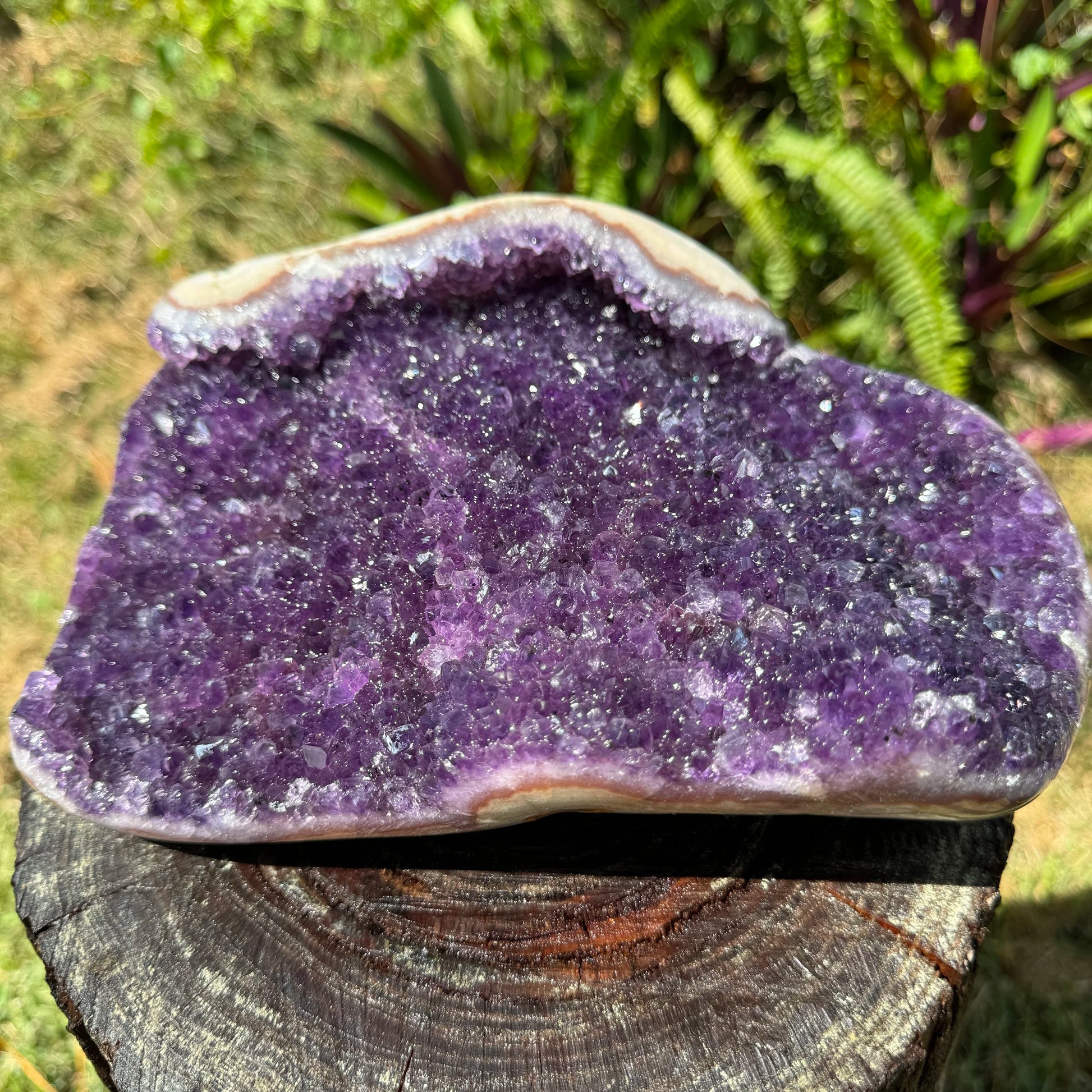 Full profile of Grade AA Amethyst geode ready to ship from Beyond Bohemian