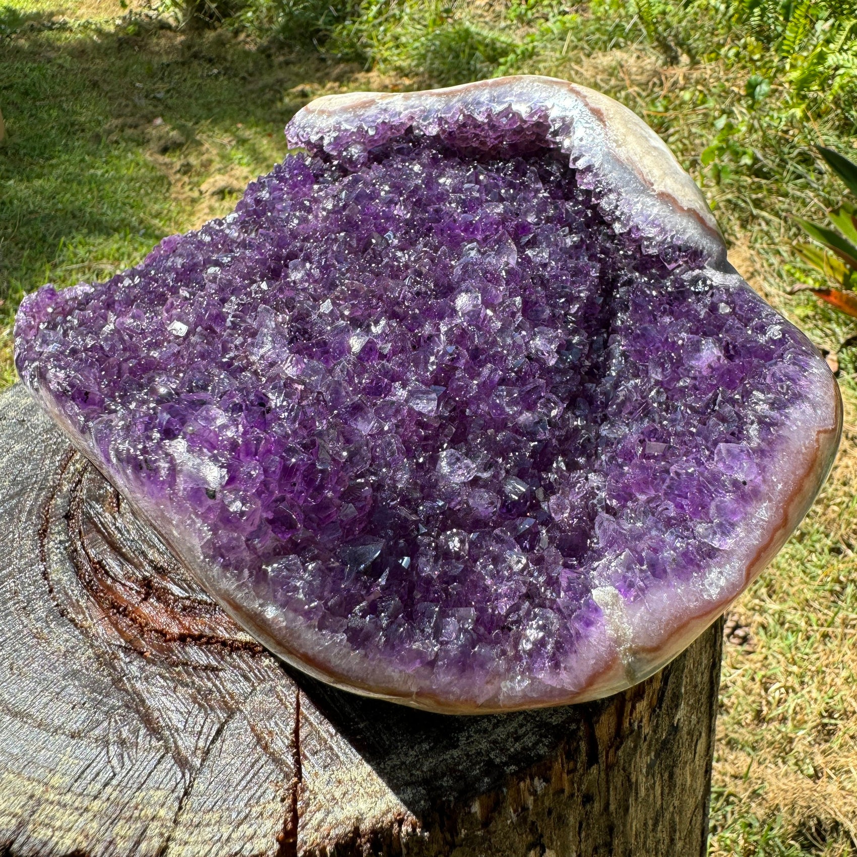 Aerial view of Amethyst raw geode, showing natural form.