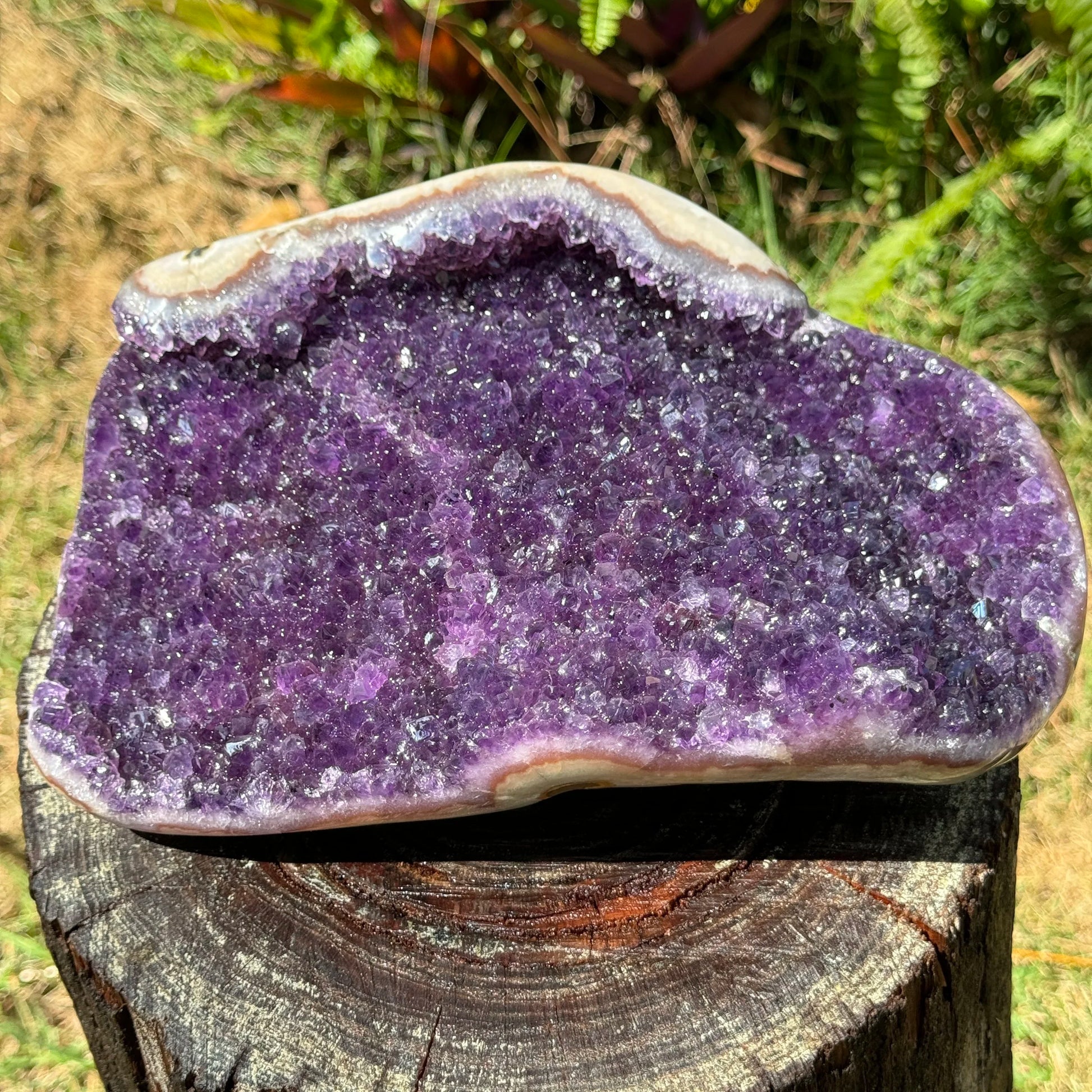 Profile view of Amethyst raw geode, kept near for Stress Relief and Sleep.