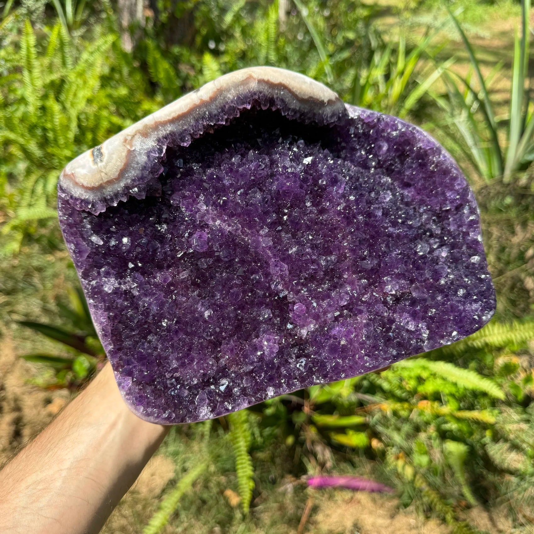 Back view of Grade AA Amethyst geode showing natural surface