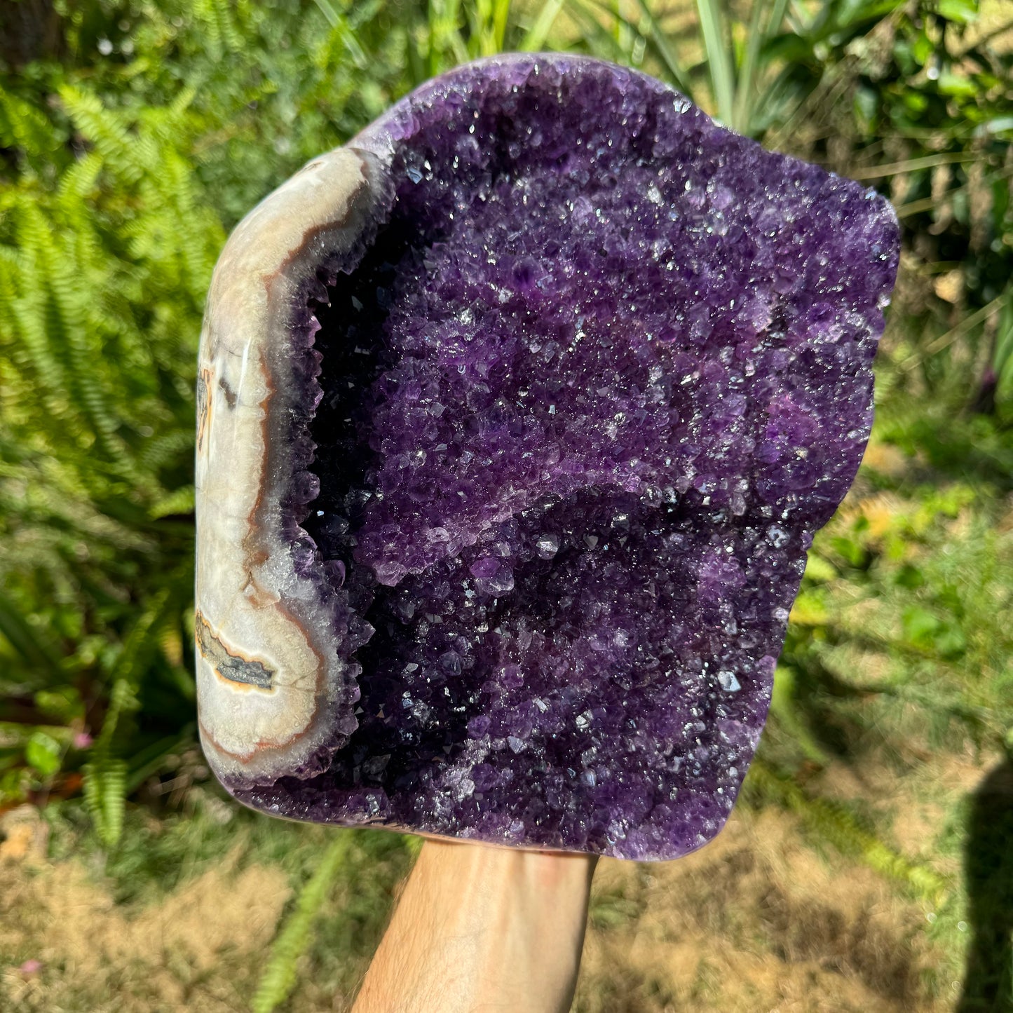Grade aa amethyst geode held in hand for size reference