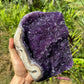 Hand-scale shot of one Amethyst raw geode for scale, from Artigas, Uruguay.