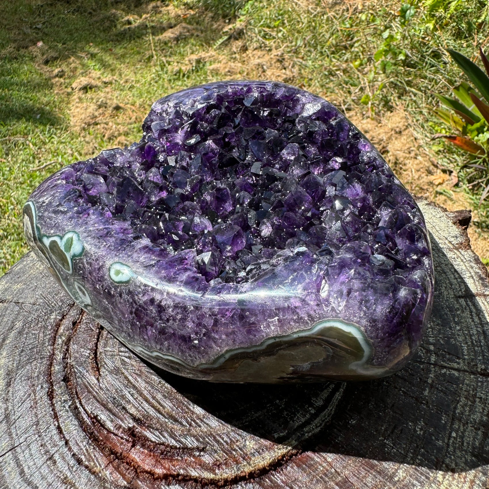 Back view of Grade AAA Amethyst geode showing natural surface