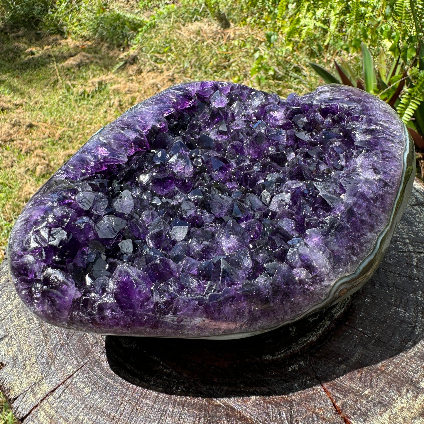 Base detail of Grade AAA Amethyst geode