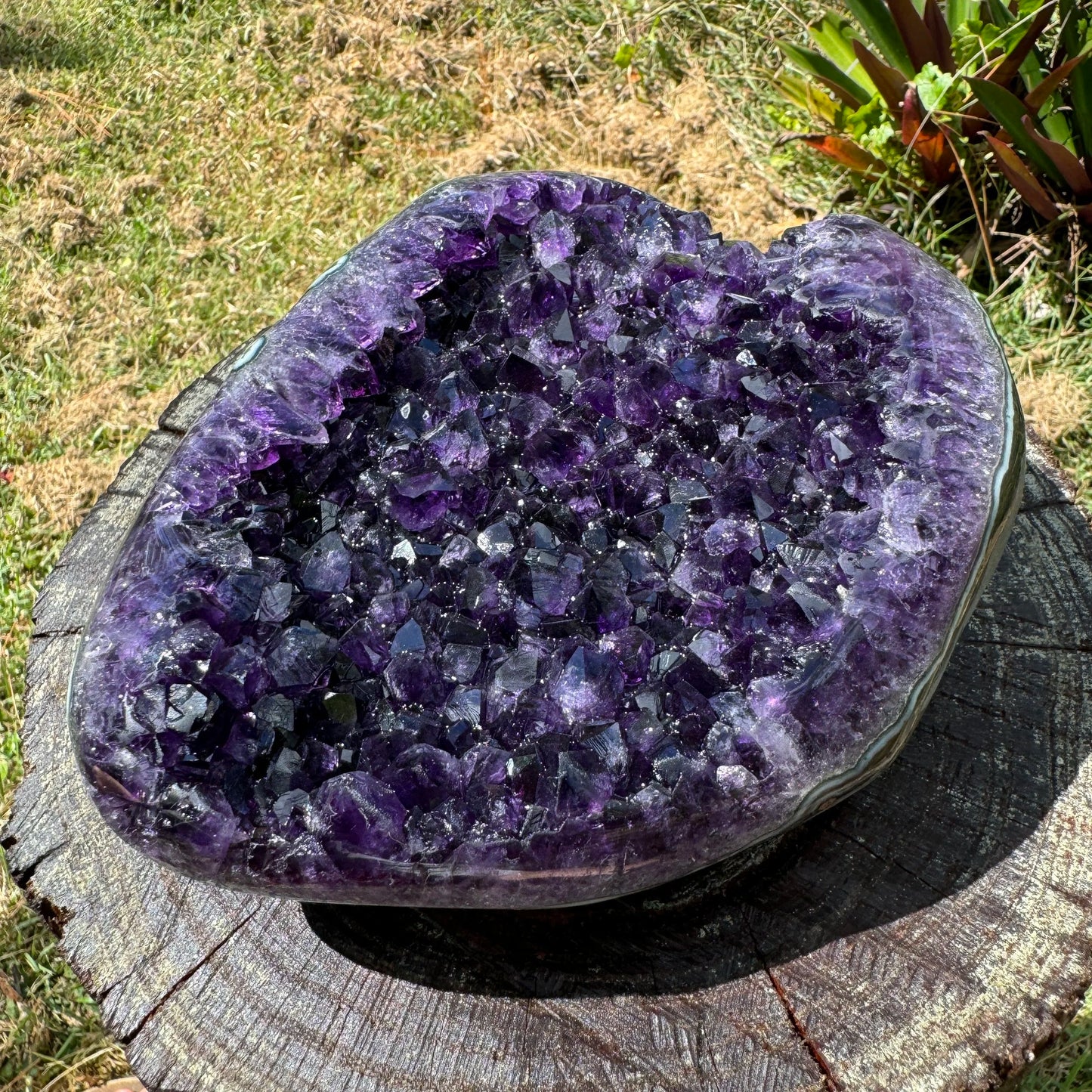 Close-up of purple Amethyst raw geode, carried for Stress Relief and Sleep, showing natural color depth.