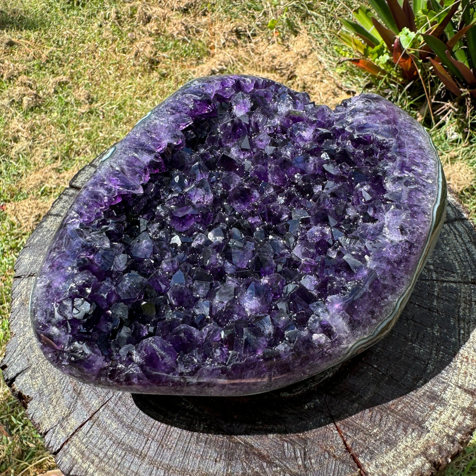 Close-up of purple Amethyst raw geode, carried for Stress Relief and Sleep, showing natural color depth.