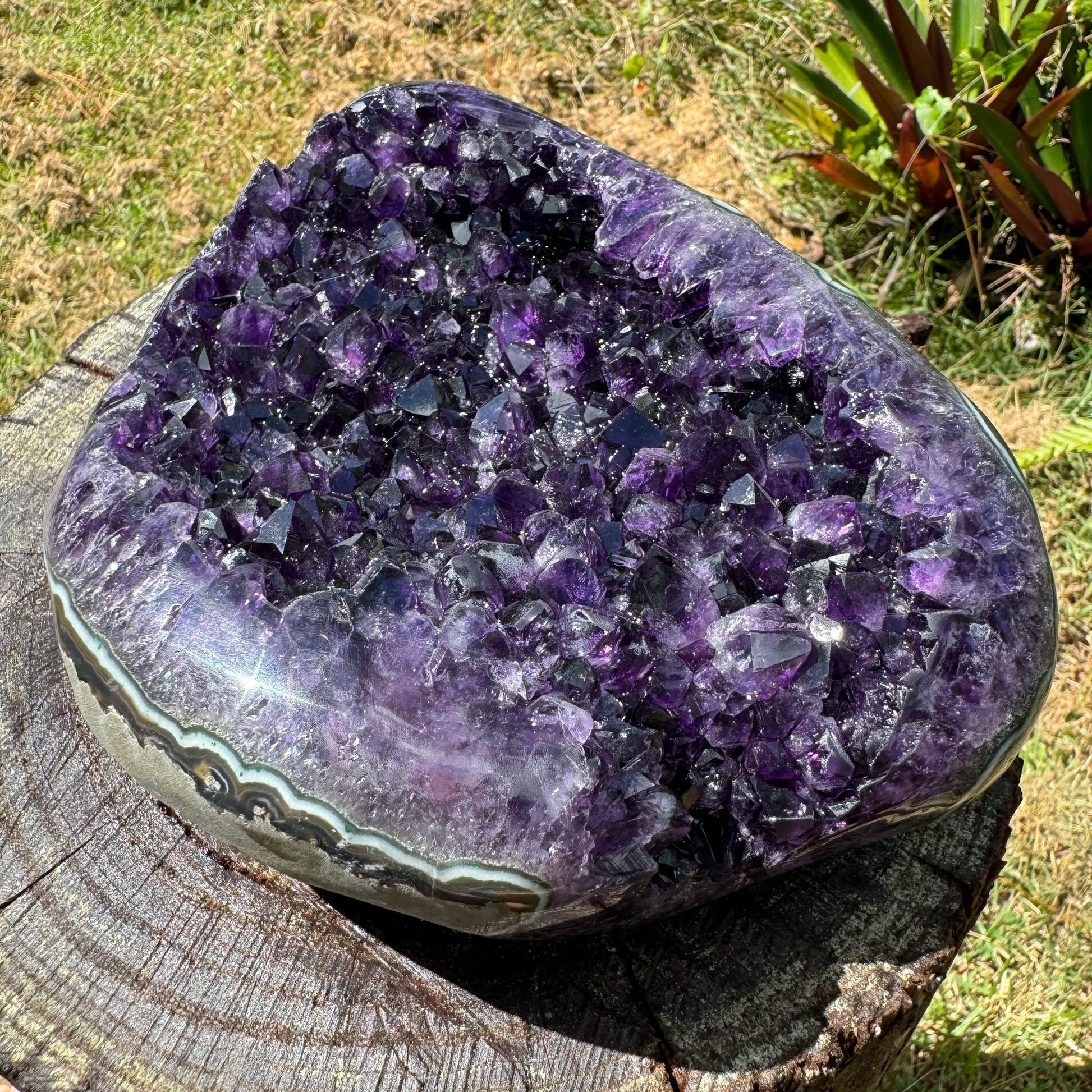 Detail shot of Grade AAA Amethyst geode under natural light