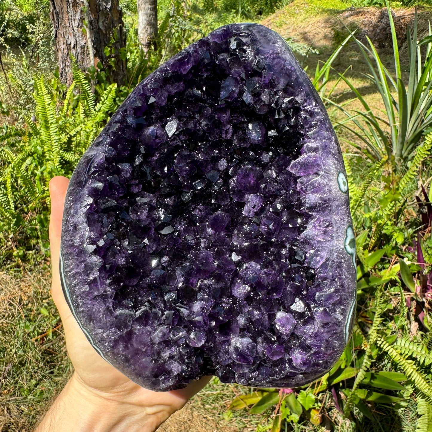 Lifestyle view of a Amethyst raw geode held against natural backdrop.