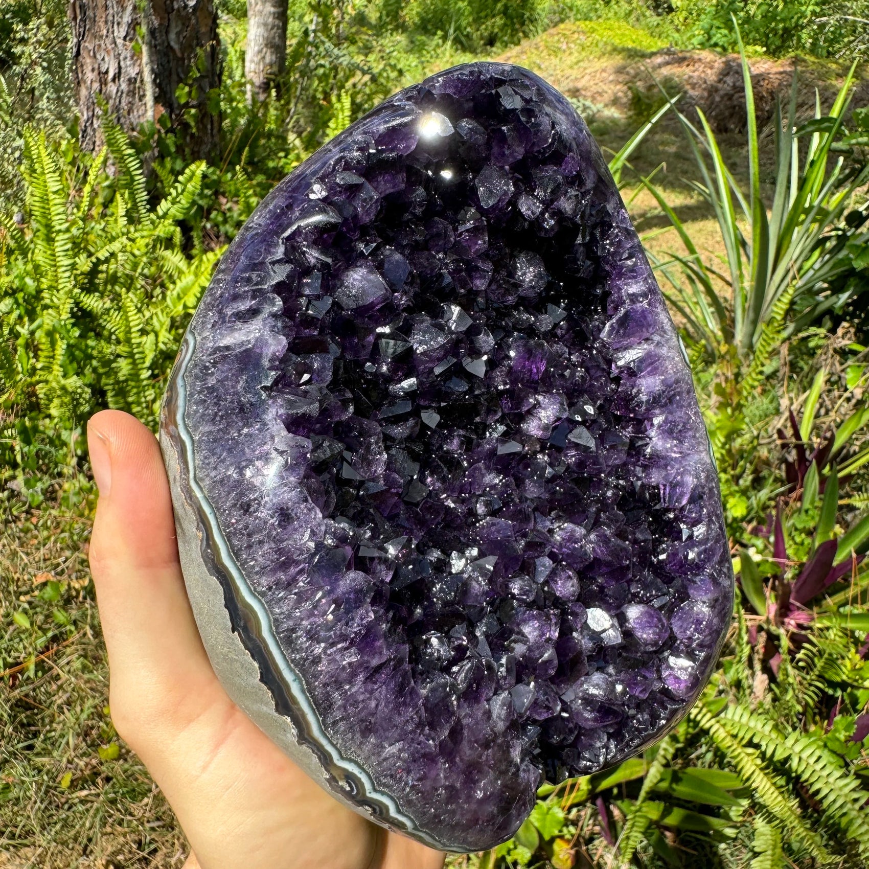 Top-side view of Amethyst raw geode, showing natural variation, kept close for Stress Relief and Sleep.