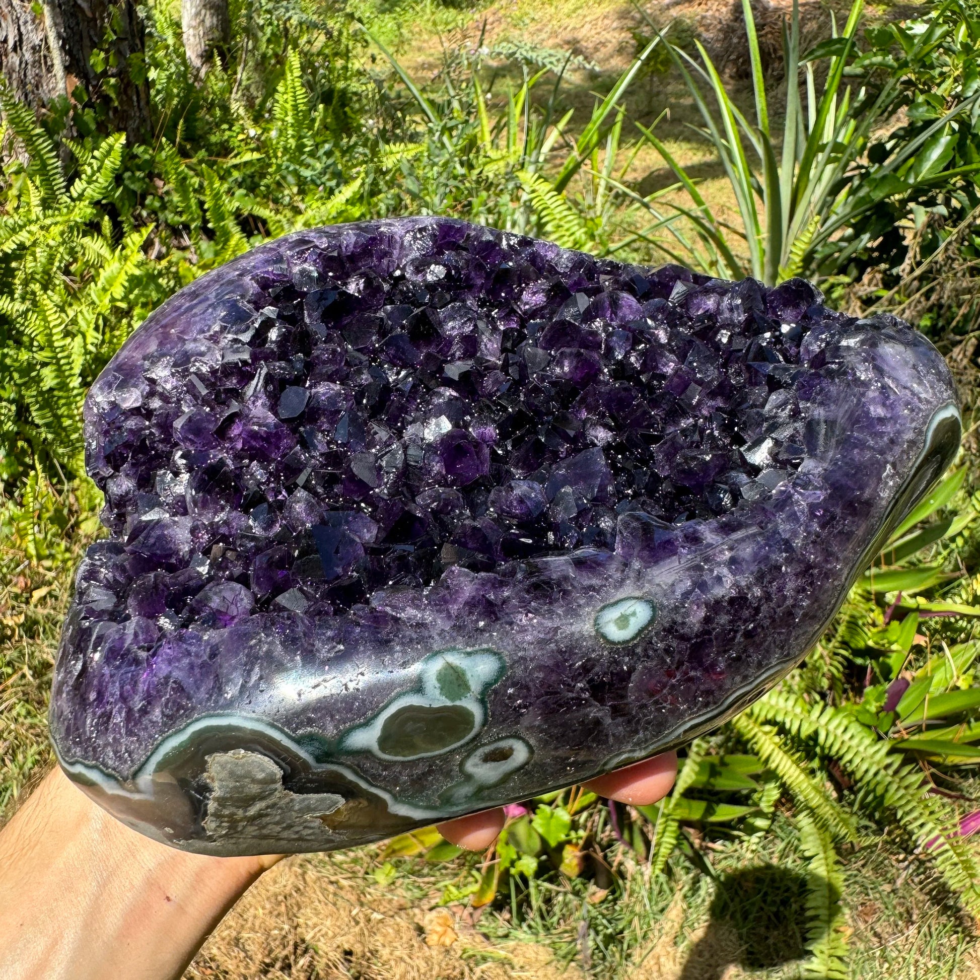 Opposite side of purple Amethyst raw geode, from Artigas, Uruguay, showing natural texture.