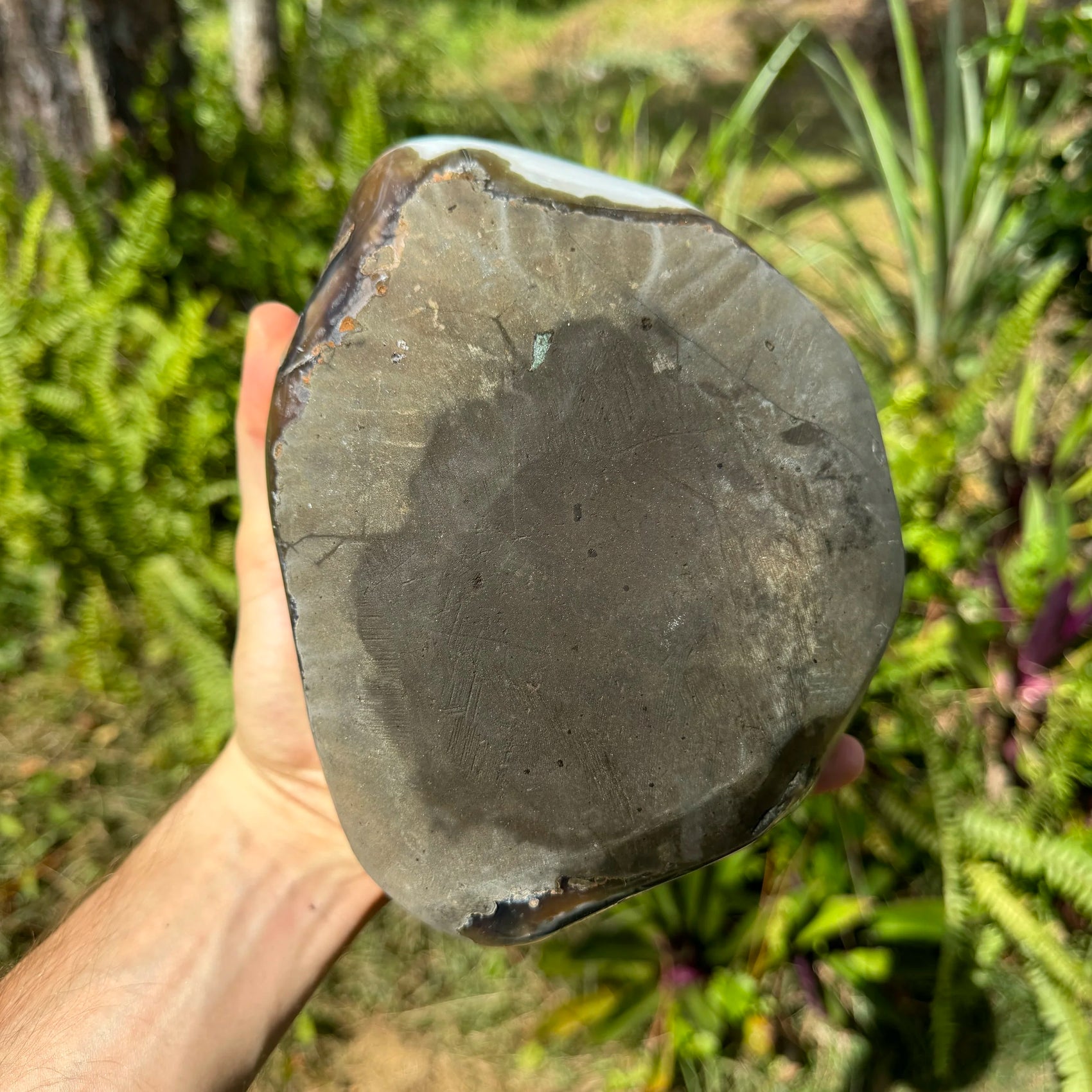 Grade aaa amethyst geode held in hand for size reference