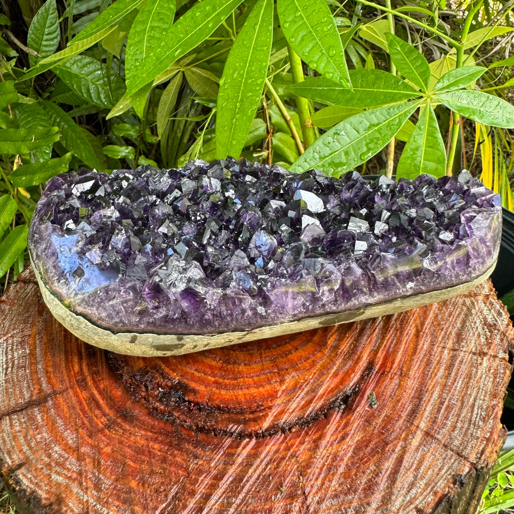 Profile shot of Grade AAA Amethyst raw geode, hand-selected from Artigas, Uruguay, showing characteristic color.