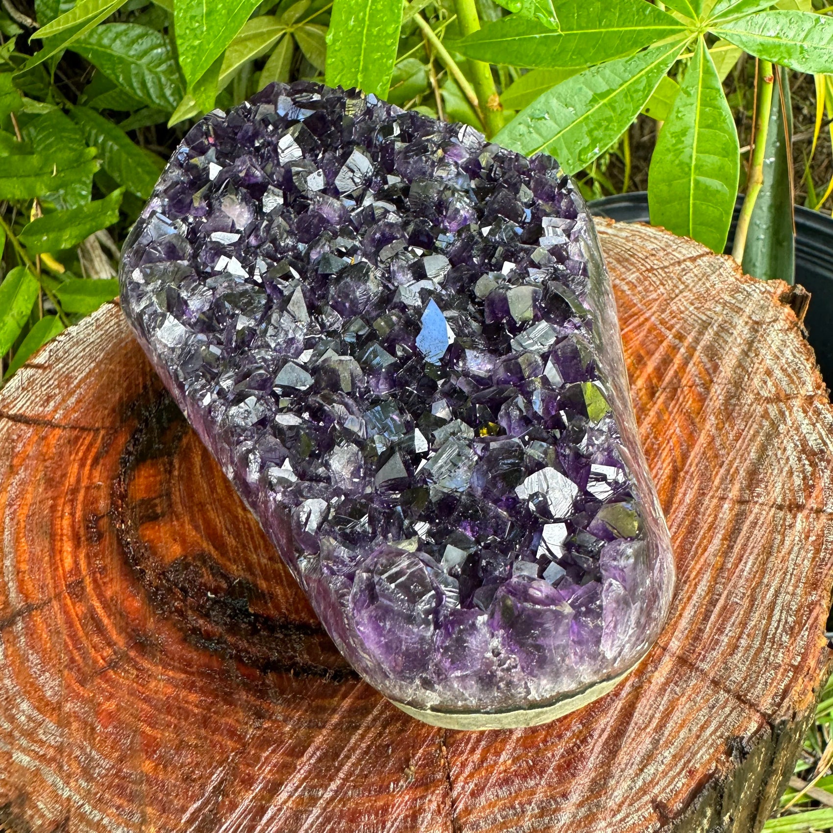 Plan view of Amethyst raw geode, often worked with for Stress Relief, sourced from Uruguay.