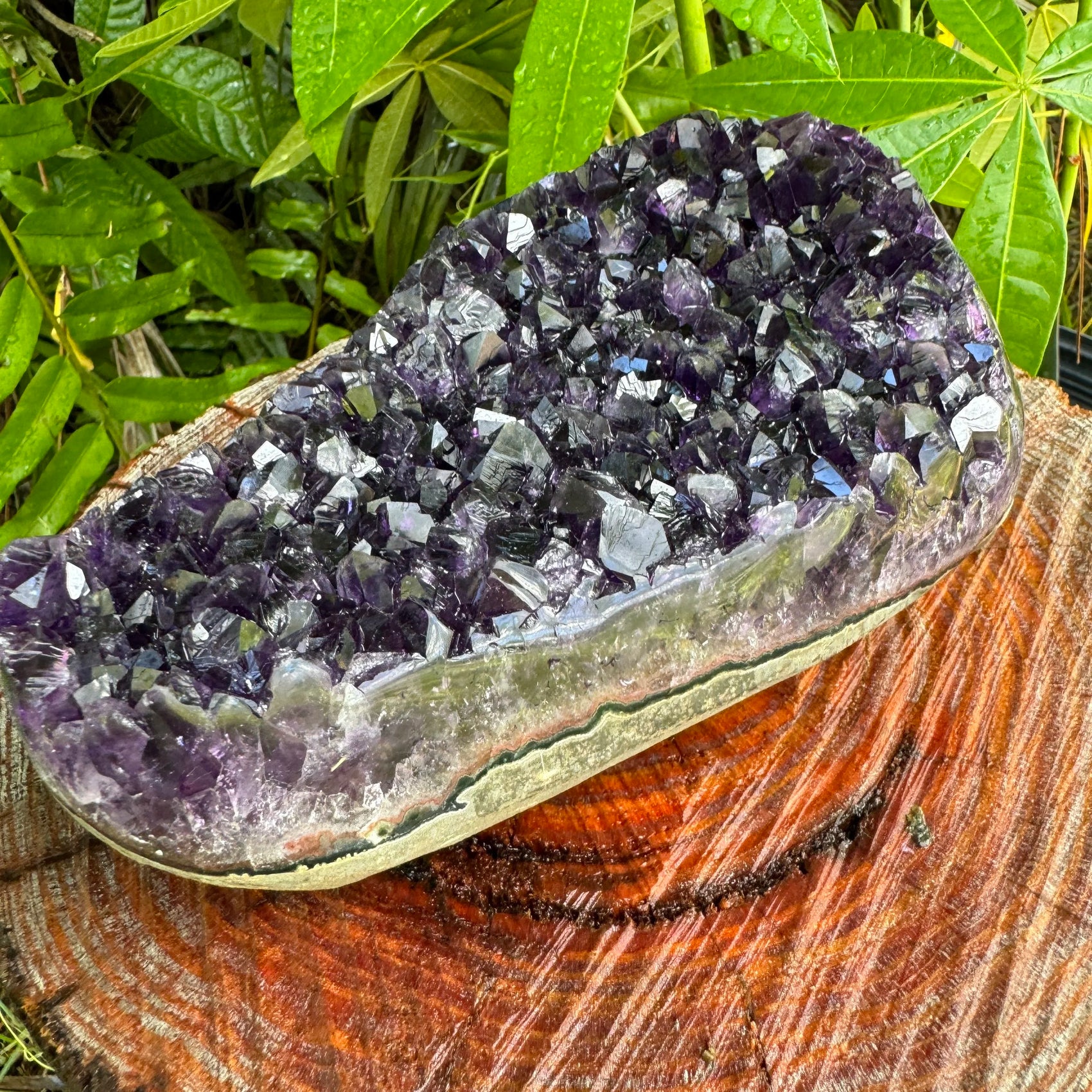 Detail of Grade AAA Amethyst raw geode, showing natural form, from Artigas, Uruguay.
